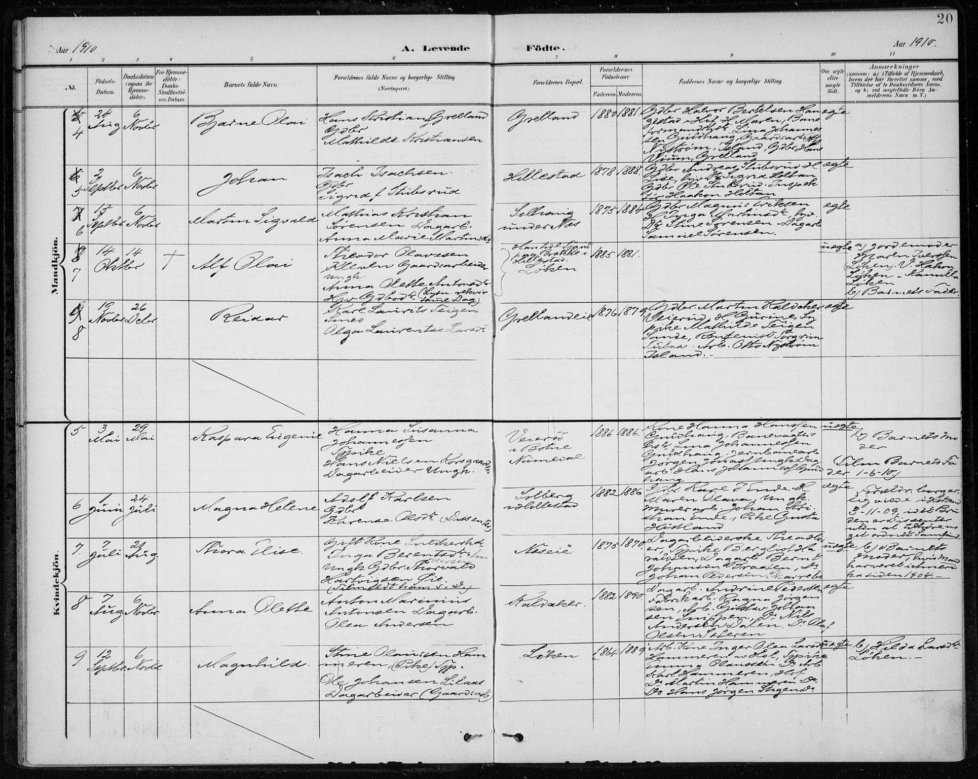 Botne kirkebøker, SAKO/A-340/F/Fb/L0002: Parish register (official) no. II 2, 1902-1915, p. 20