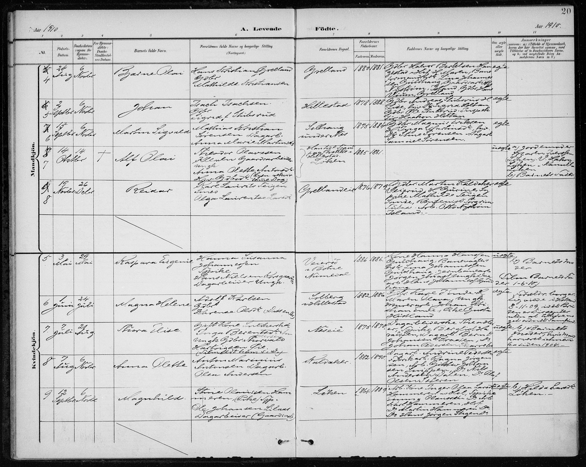 Botne kirkebøker, AV/SAKO-A-340/F/Fb/L0002: Parish register (official) no. II 2, 1902-1915, p. 20