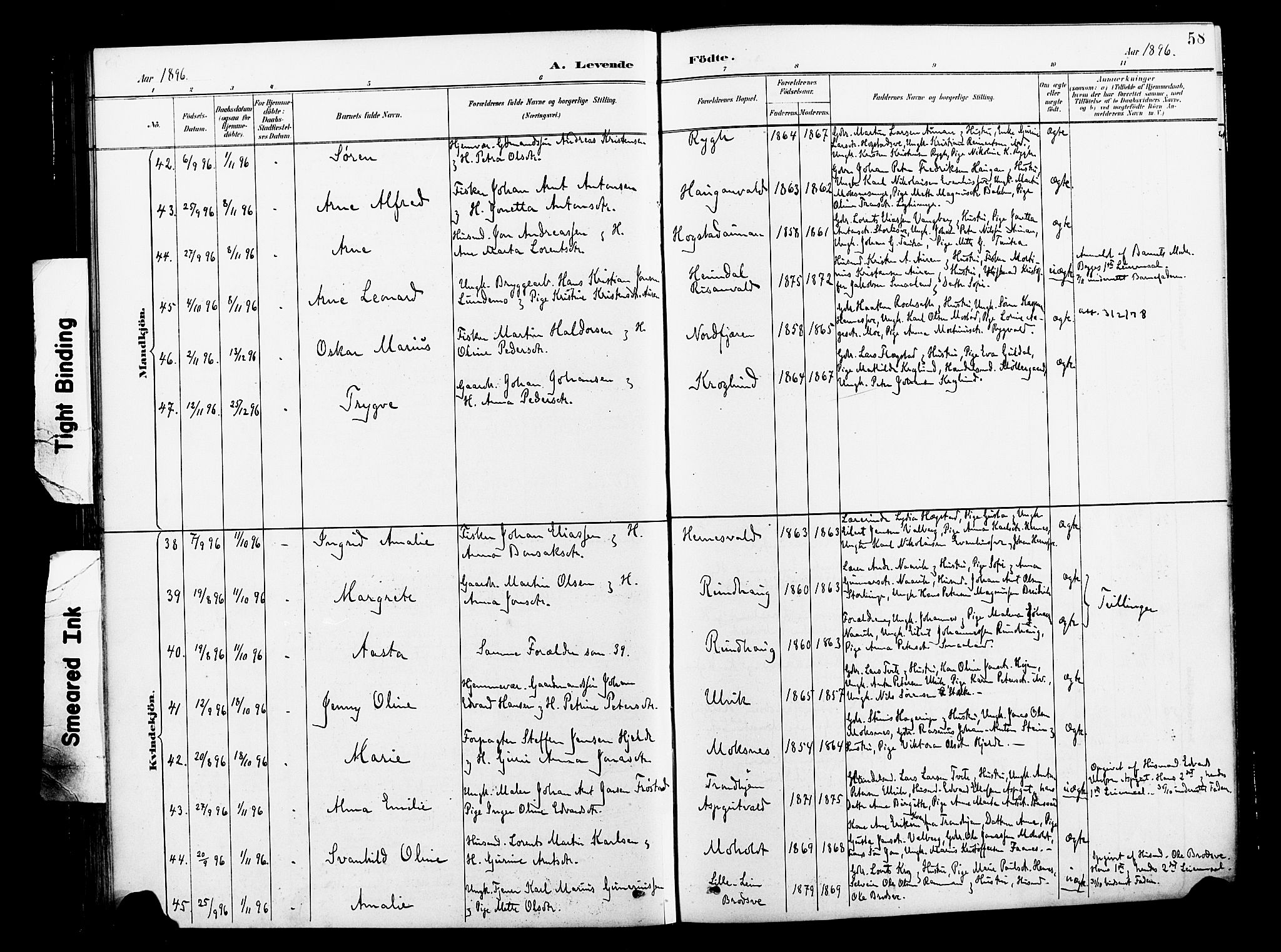 Ministerialprotokoller, klokkerbøker og fødselsregistre - Nord-Trøndelag, AV/SAT-A-1458/713/L0121: Parish register (official) no. 713A10, 1888-1898, p. 58