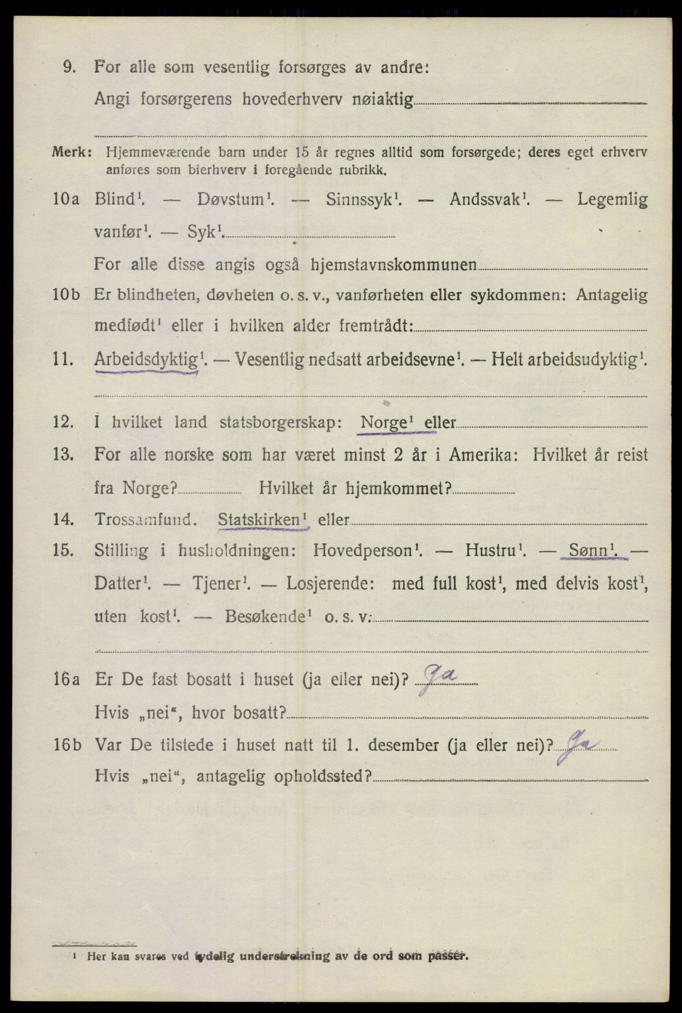 SAKO, 1920 census for Strømm, 1920, p. 1170