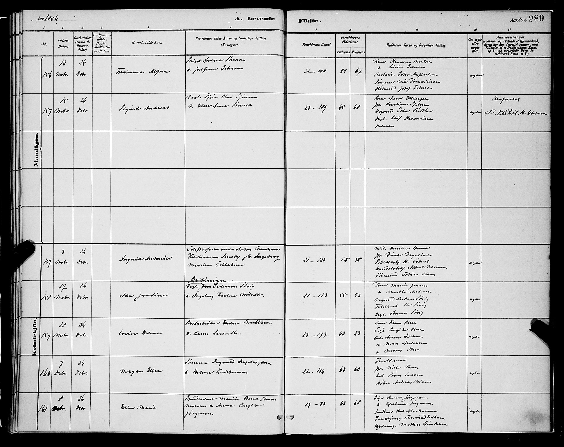 Korskirken sokneprestembete, AV/SAB-A-76101/H/Hab: Parish register (copy) no. B 8, 1878-1887, p. 289