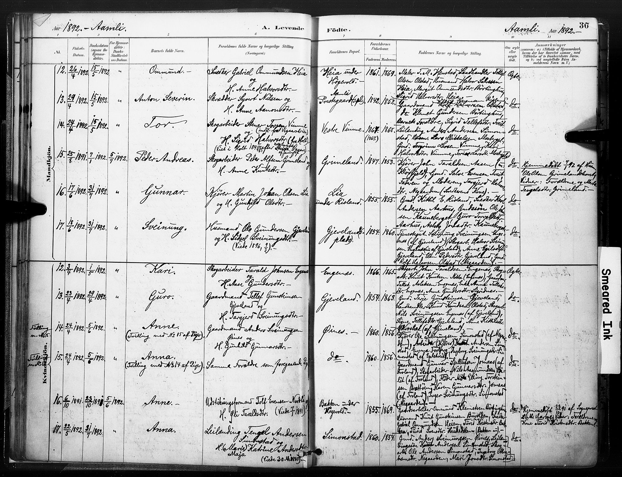 Åmli sokneprestkontor, AV/SAK-1111-0050/F/Fa/Fac/L0010: Parish register (official) no. A 10 /1, 1885-1899, p. 36