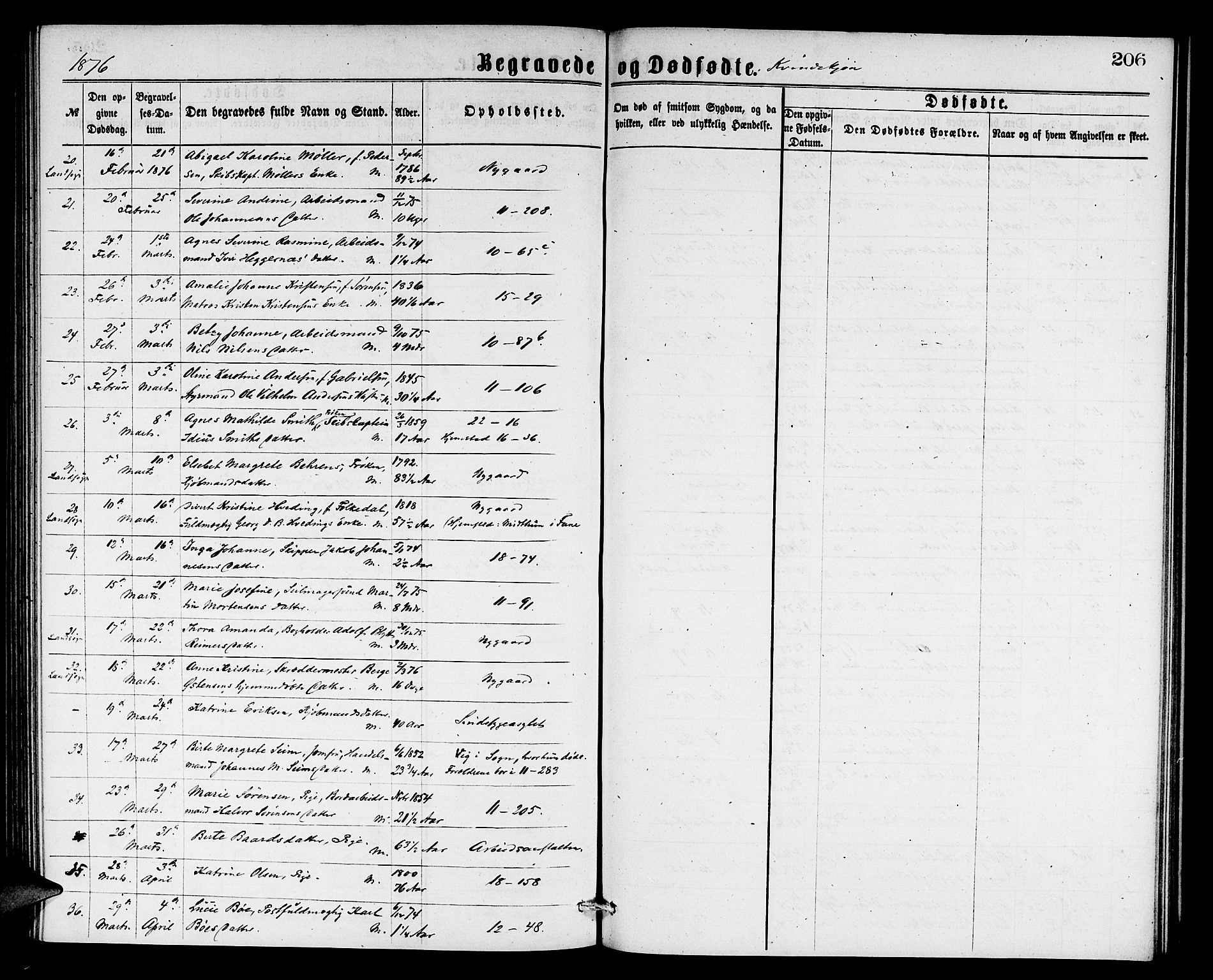 Domkirken sokneprestembete, AV/SAB-A-74801/H/Hab/L0040: Parish register (copy) no. E 4, 1868-1877, p. 206