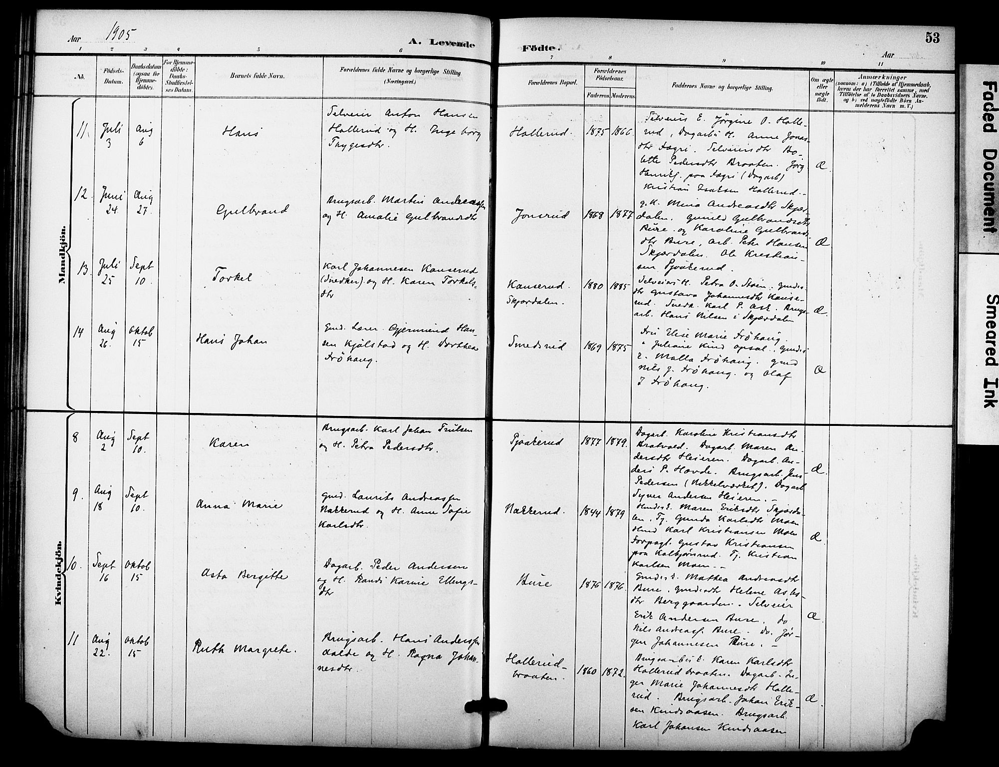 Hole kirkebøker, AV/SAKO-A-228/F/Fb/L0002: Parish register (official) no. II 2, 1892-1906, p. 53