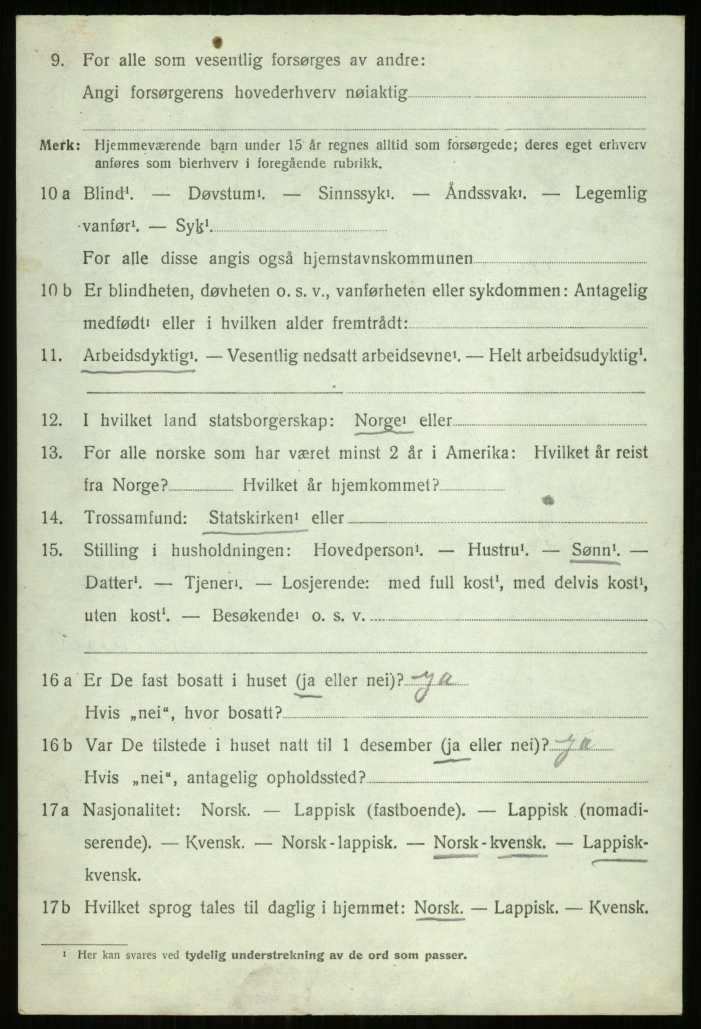 SATØ, 1920 census for Ibestad, 1920, p. 13375