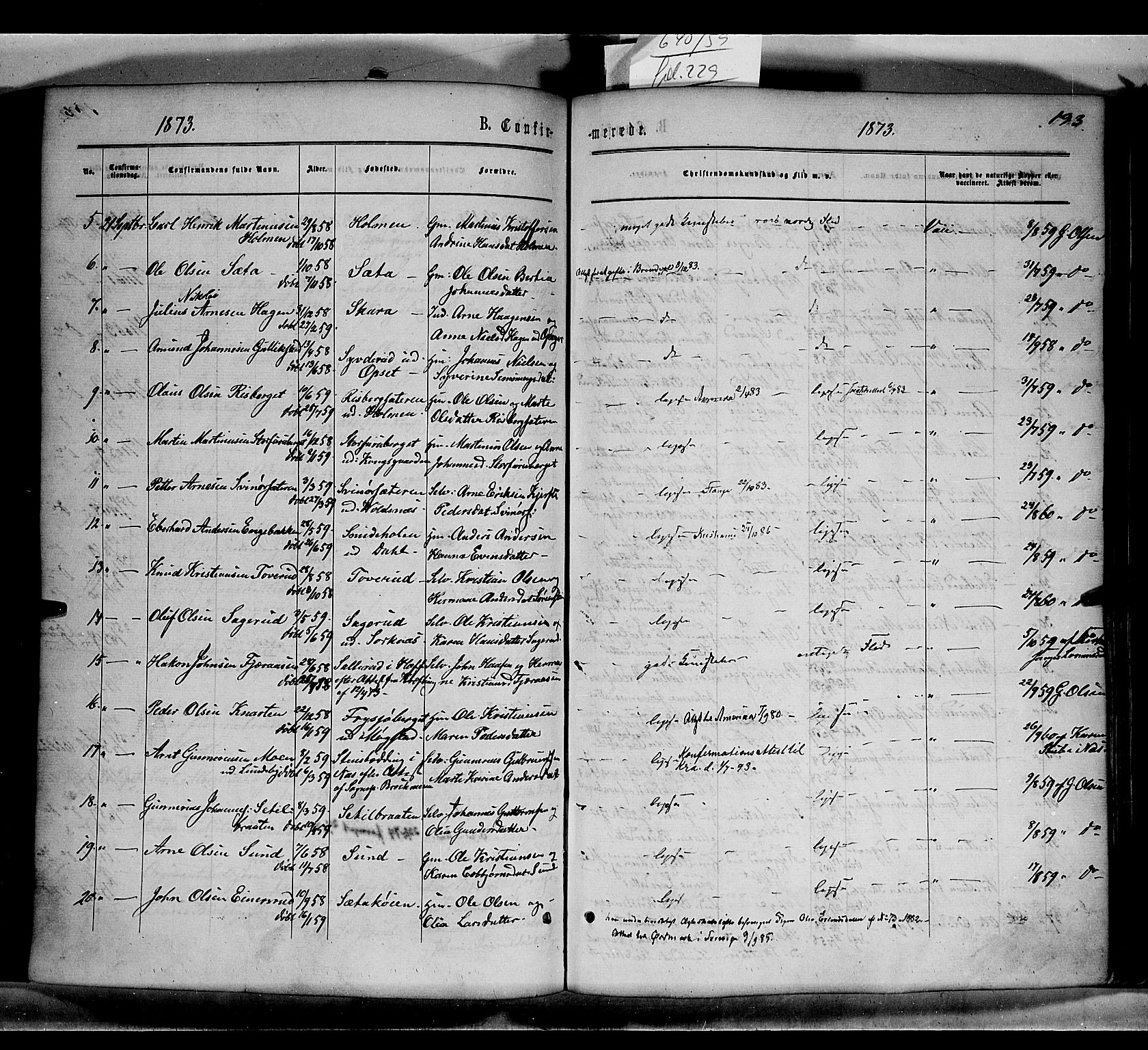 Grue prestekontor, SAH/PREST-036/H/Ha/Haa/L0010: Parish register (official) no. 10, 1864-1873, p. 193