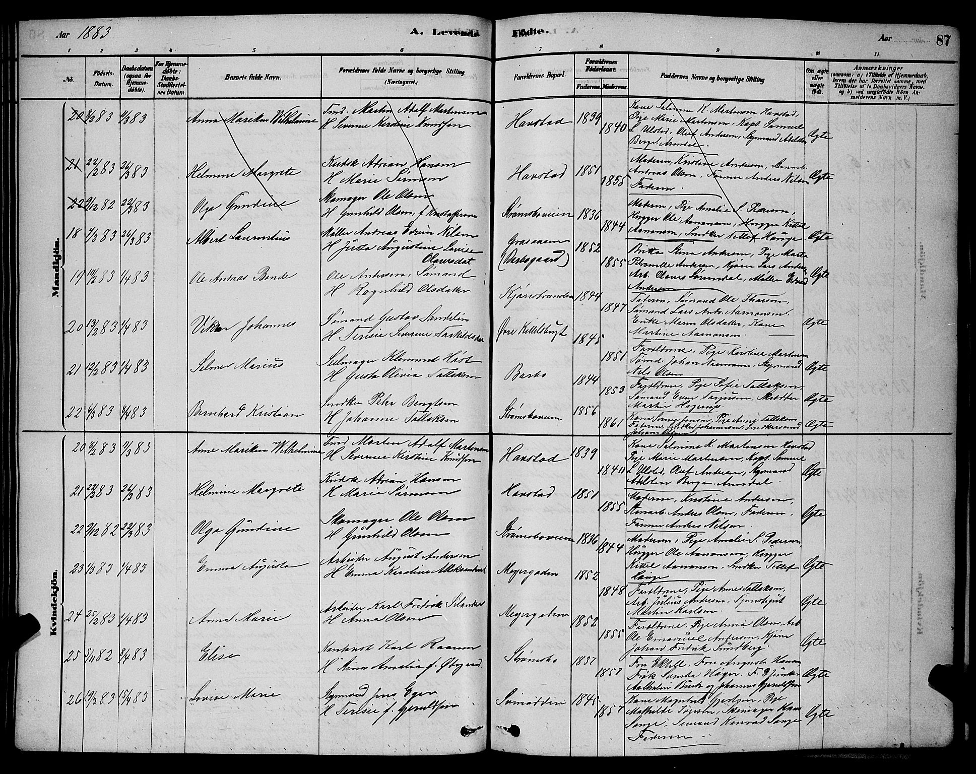 Barbu sokneprestkontor, AV/SAK-1111-0003/F/Fb/L0001: Parish register (copy) no. B 1, 1878-1890, p. 87