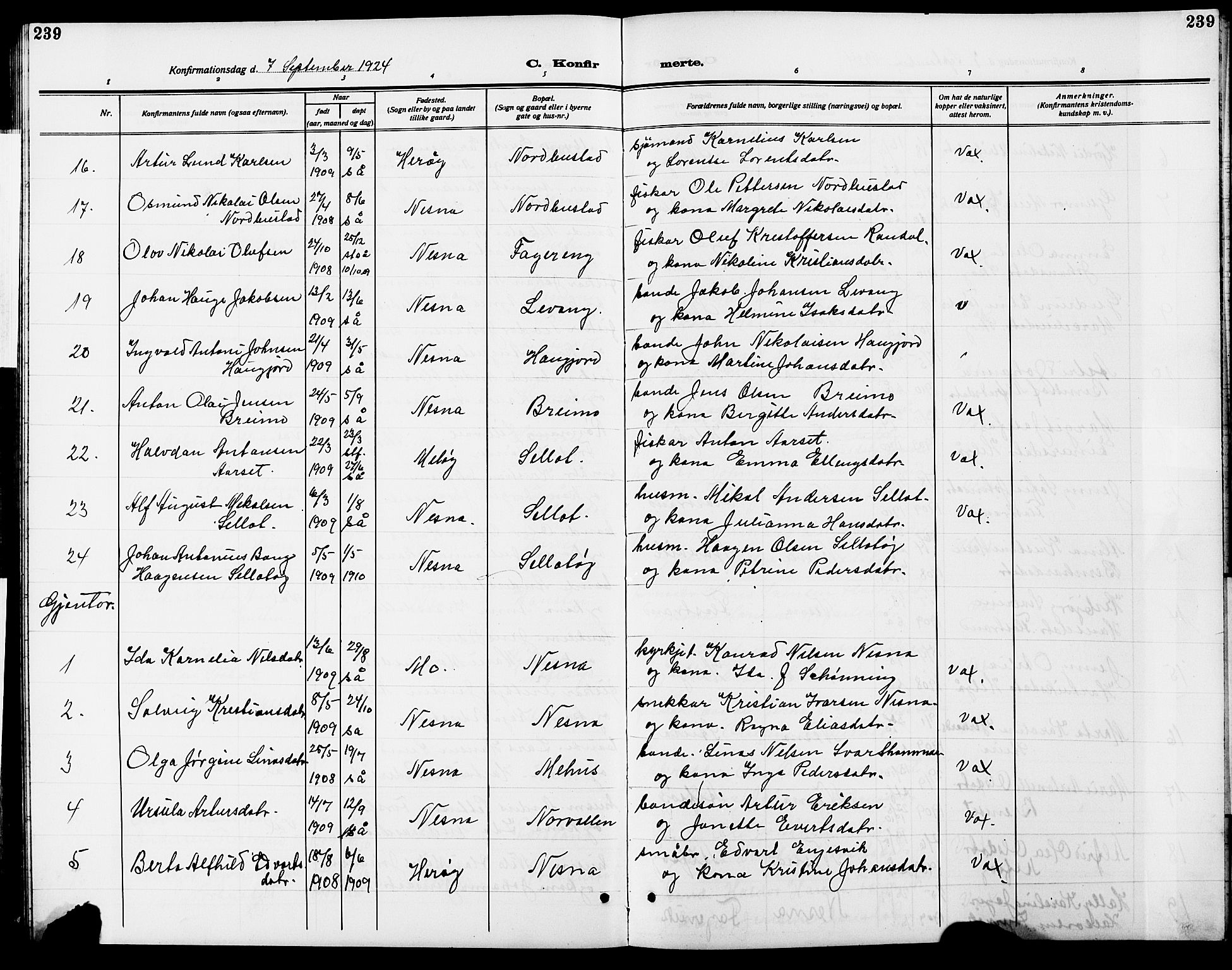 Ministerialprotokoller, klokkerbøker og fødselsregistre - Nordland, SAT/A-1459/838/L0560: Parish register (copy) no. 838C07, 1910-1928, p. 239