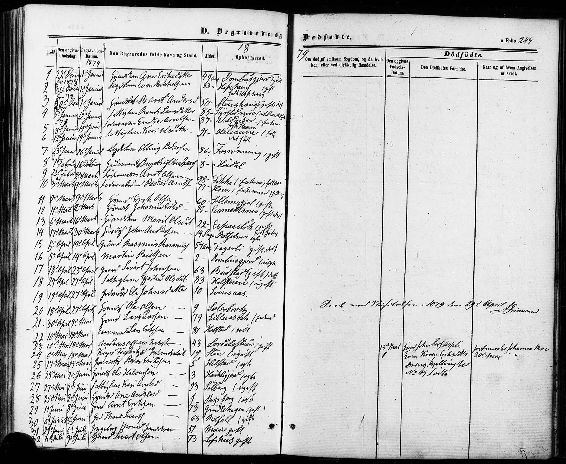 Ministerialprotokoller, klokkerbøker og fødselsregistre - Sør-Trøndelag, SAT/A-1456/672/L0856: Parish register (official) no. 672A08, 1861-1881, p. 249
