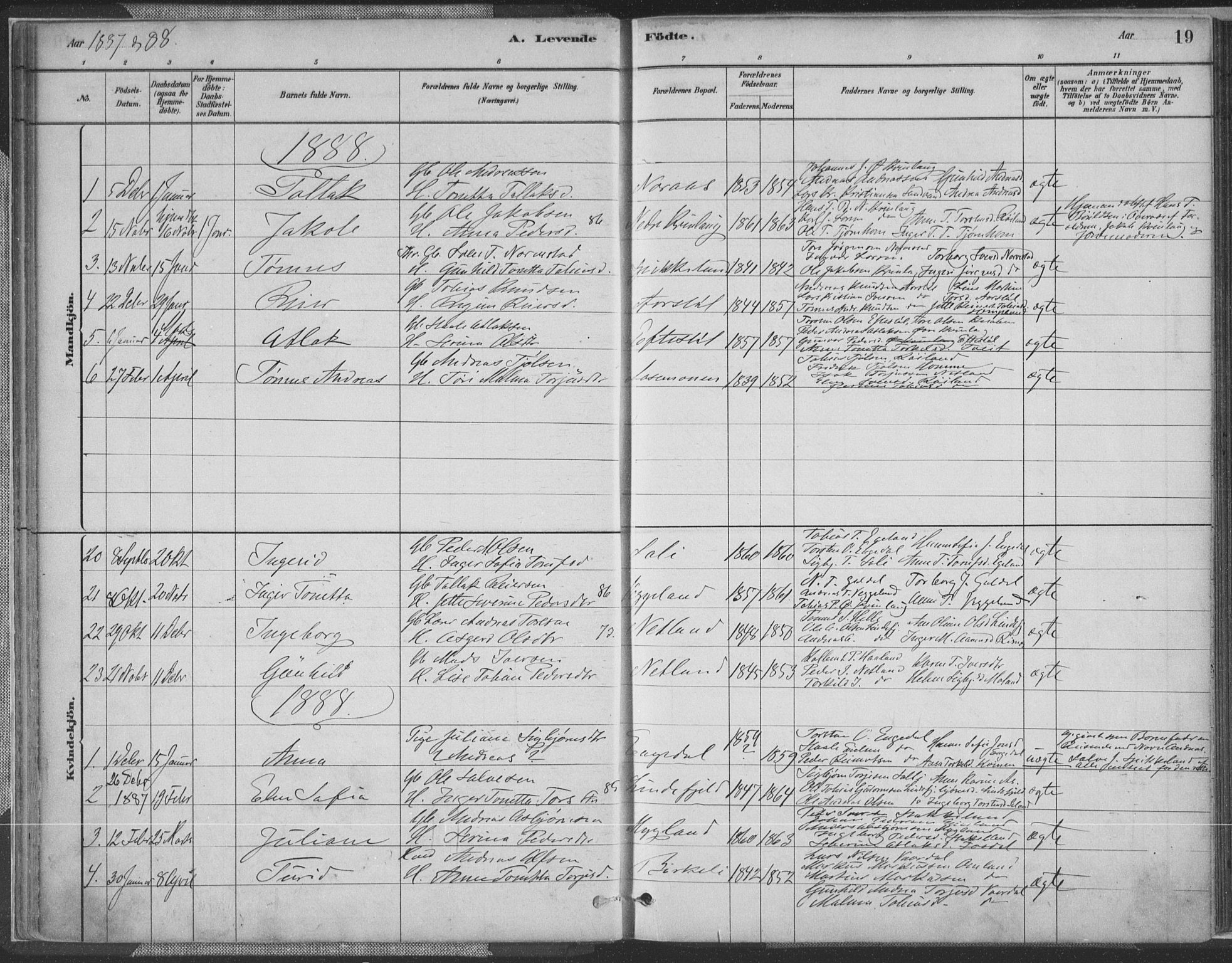 Fjotland sokneprestkontor, AV/SAK-1111-0010/F/Fa/L0002: Parish register (official) no. A 2, 1880-1898, p. 19