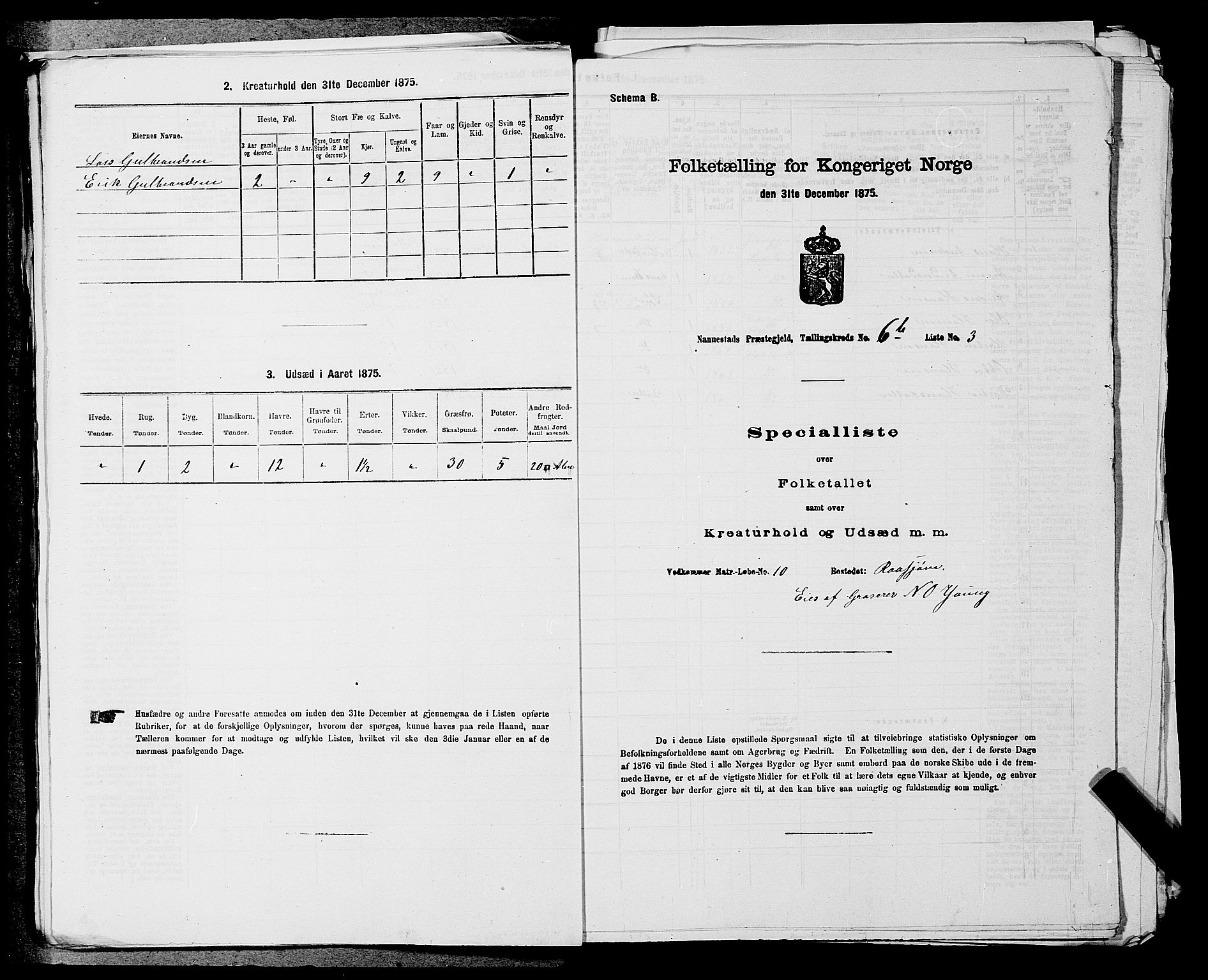 RA, 1875 census for 0238P Nannestad, 1875, p. 989