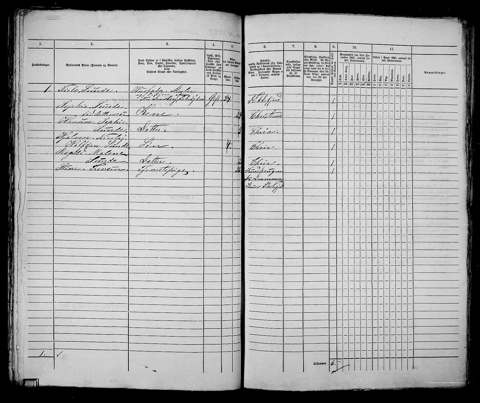 RA, 1865 census for Kristiania, 1865, p. 2367