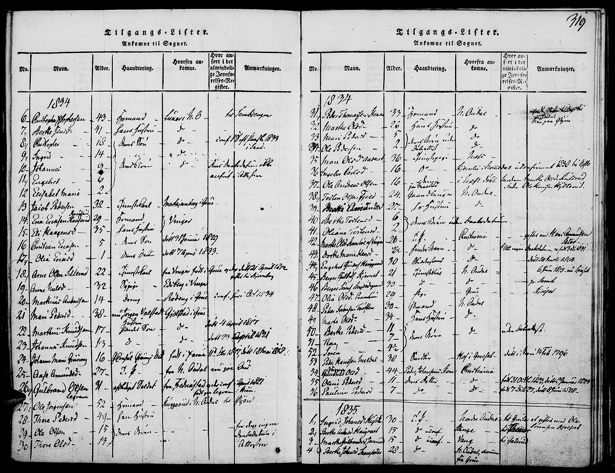 Strøm-Odalen prestekontor, AV/SAH-PREST-028/H/Ha/Haa/L0006: Parish register (official) no. 6, 1814-1850, p. 319