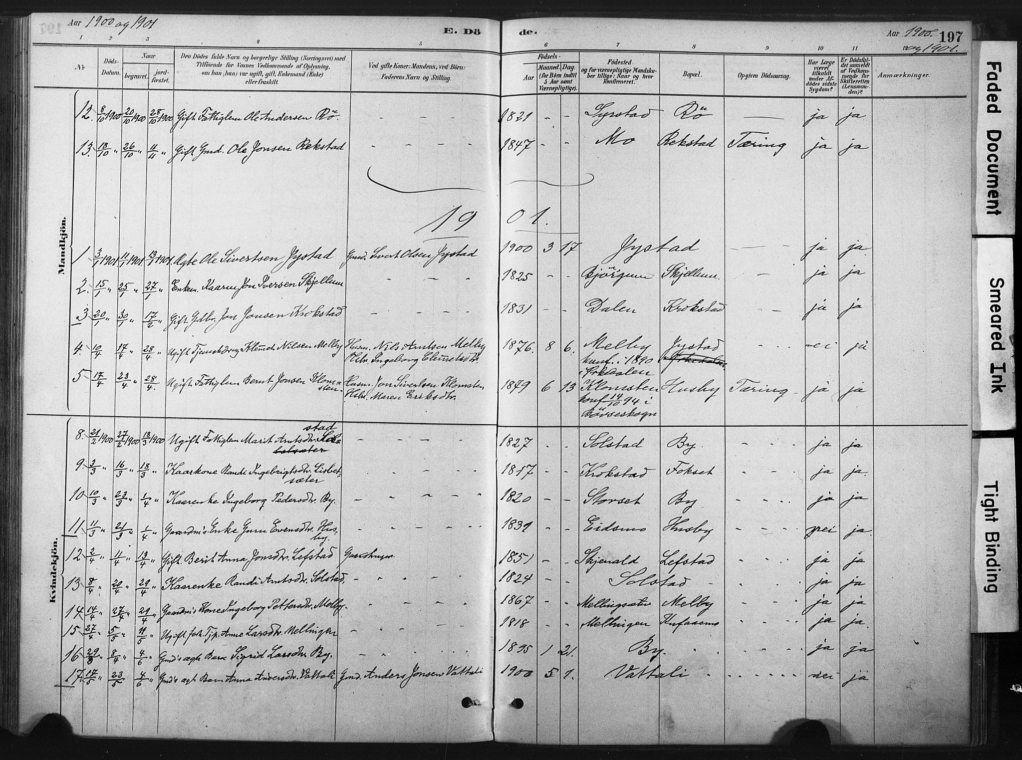 Ministerialprotokoller, klokkerbøker og fødselsregistre - Sør-Trøndelag, SAT/A-1456/667/L0795: Parish register (official) no. 667A03, 1879-1907, p. 197