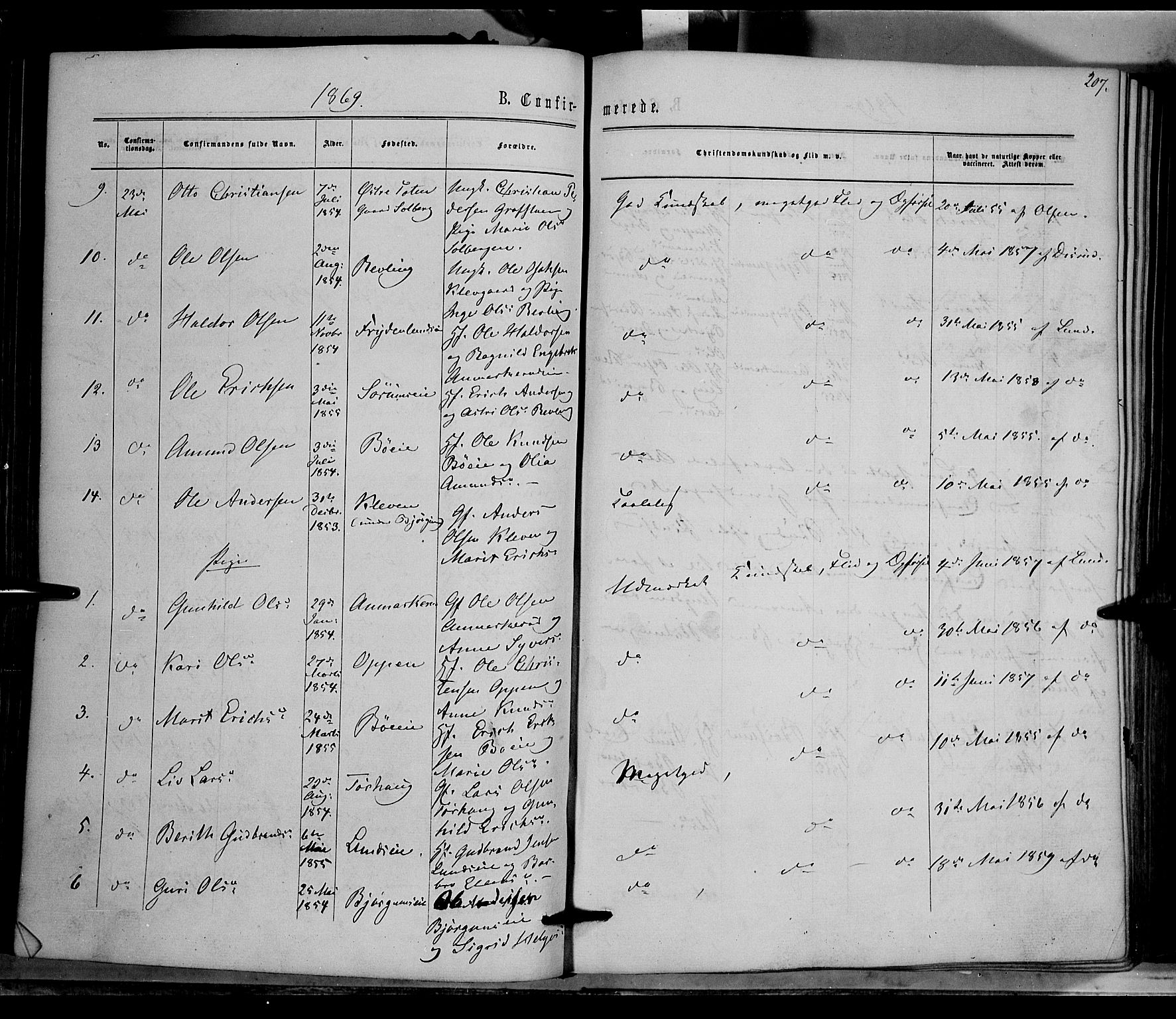 Nord-Aurdal prestekontor, SAH/PREST-132/H/Ha/Haa/L0008: Parish register (official) no. 8, 1863-1875, p. 207