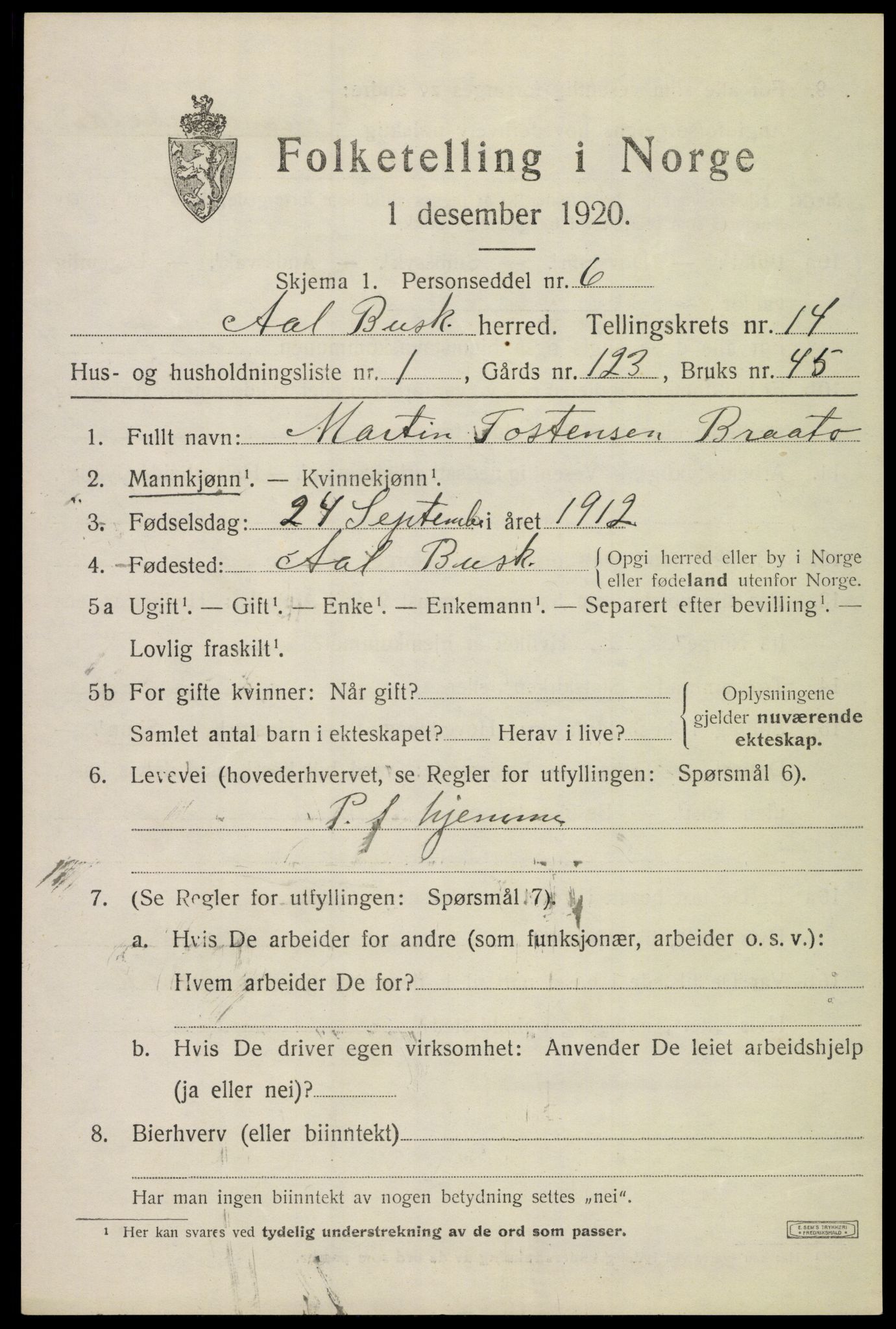 SAKO, 1920 census for Ål, 1920, p. 8076