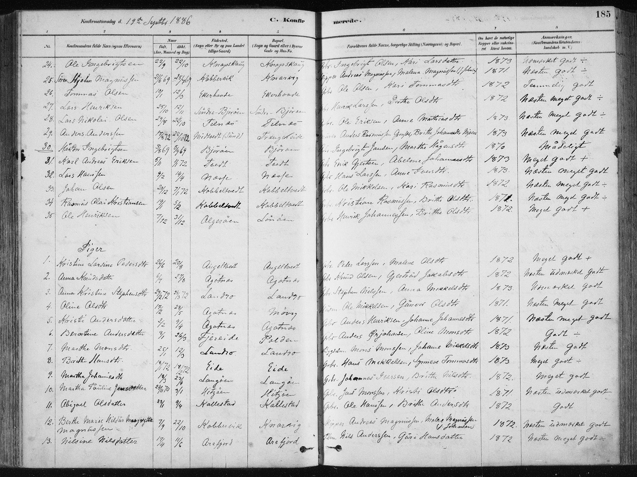 Fjell sokneprestembete, SAB/A-75301/H/Haa: Parish register (official) no. A  8, 1878-1898, p. 185
