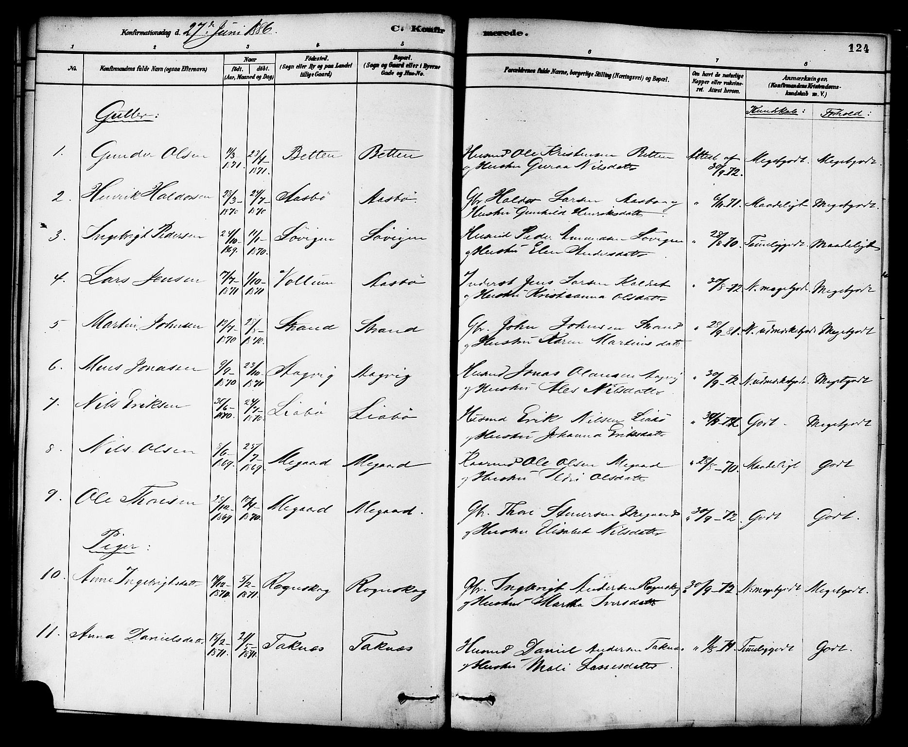 Ministerialprotokoller, klokkerbøker og fødselsregistre - Møre og Romsdal, SAT/A-1454/576/L0885: Parish register (official) no. 576A03, 1880-1898, p. 124