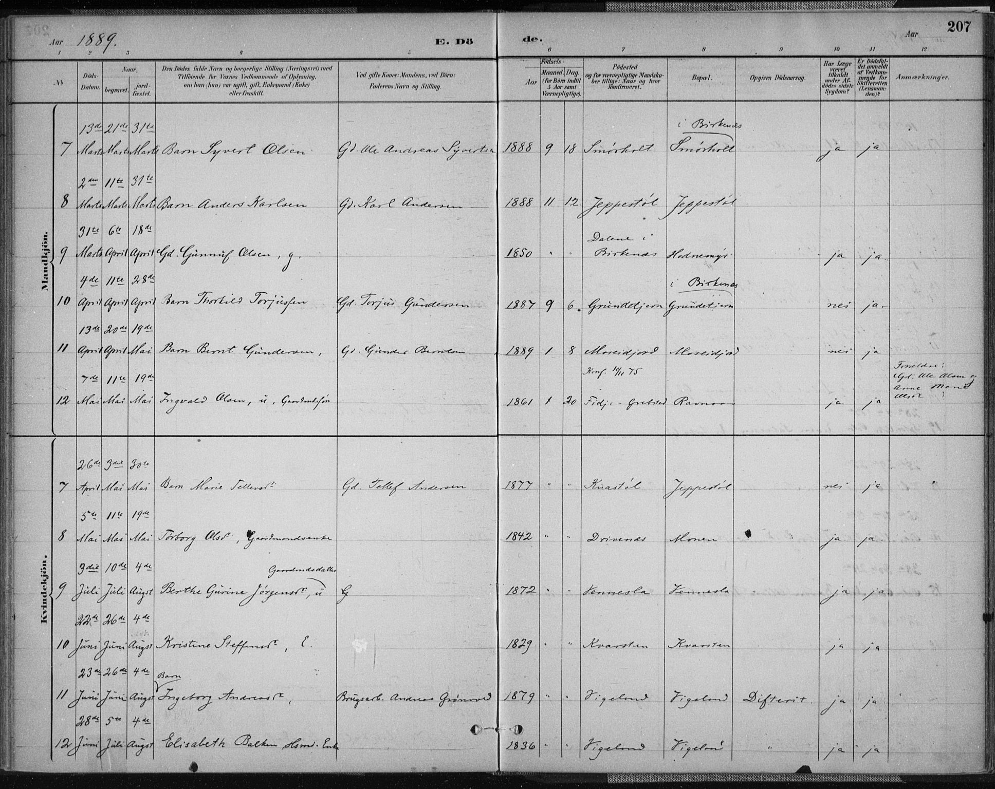 Vennesla sokneprestkontor, AV/SAK-1111-0045/Fa/Fab/L0004: Parish register (official) no. A 4, 1884-1896, p. 207