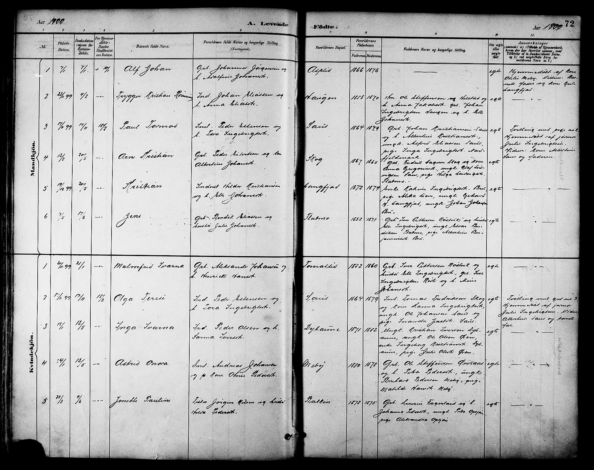 Ministerialprotokoller, klokkerbøker og fødselsregistre - Nordland, AV/SAT-A-1459/814/L0230: Parish register (copy) no. 814C03, 1884-1911, p. 72