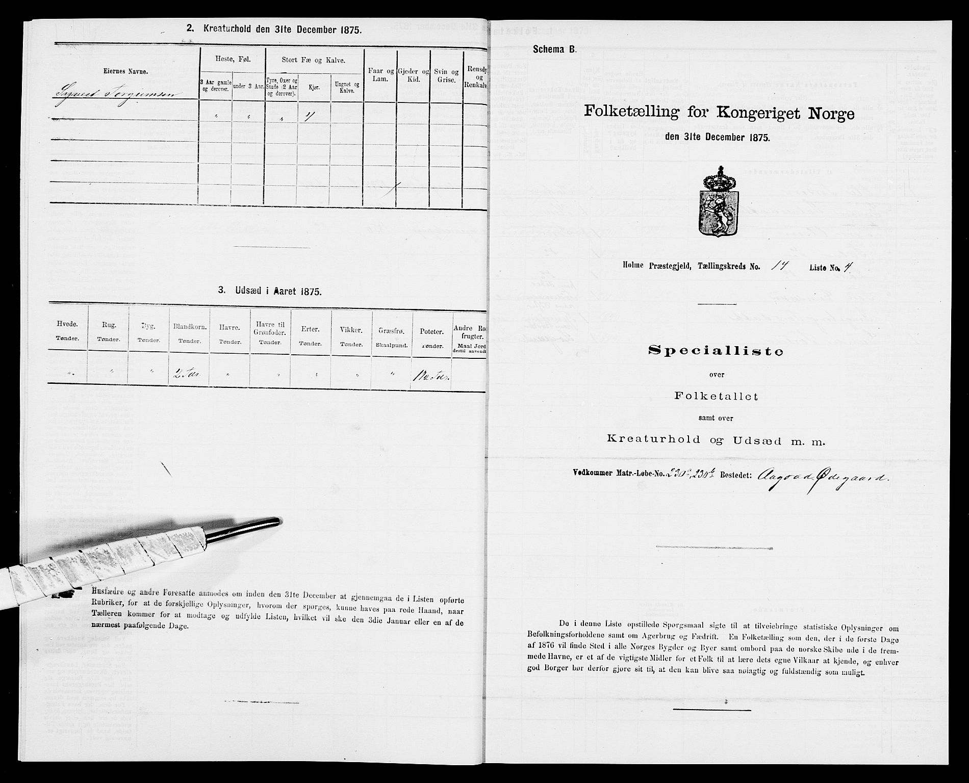 SAK, 1875 census for 1020P Holum, 1875, p. 1418