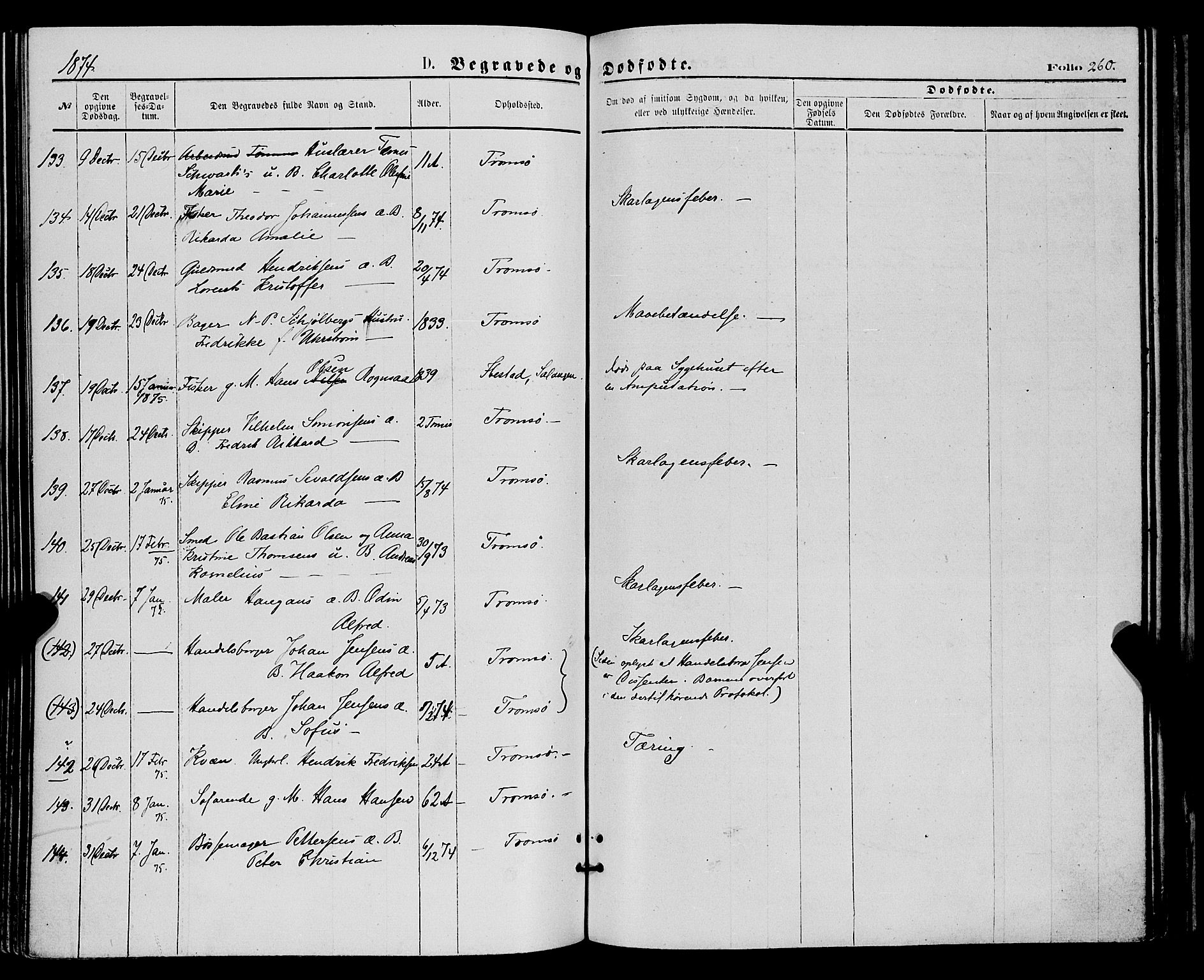 Tromsø sokneprestkontor/stiftsprosti/domprosti, SATØ/S-1343/G/Ga/L0013kirke: Parish register (official) no. 13, 1872-1877, p. 260