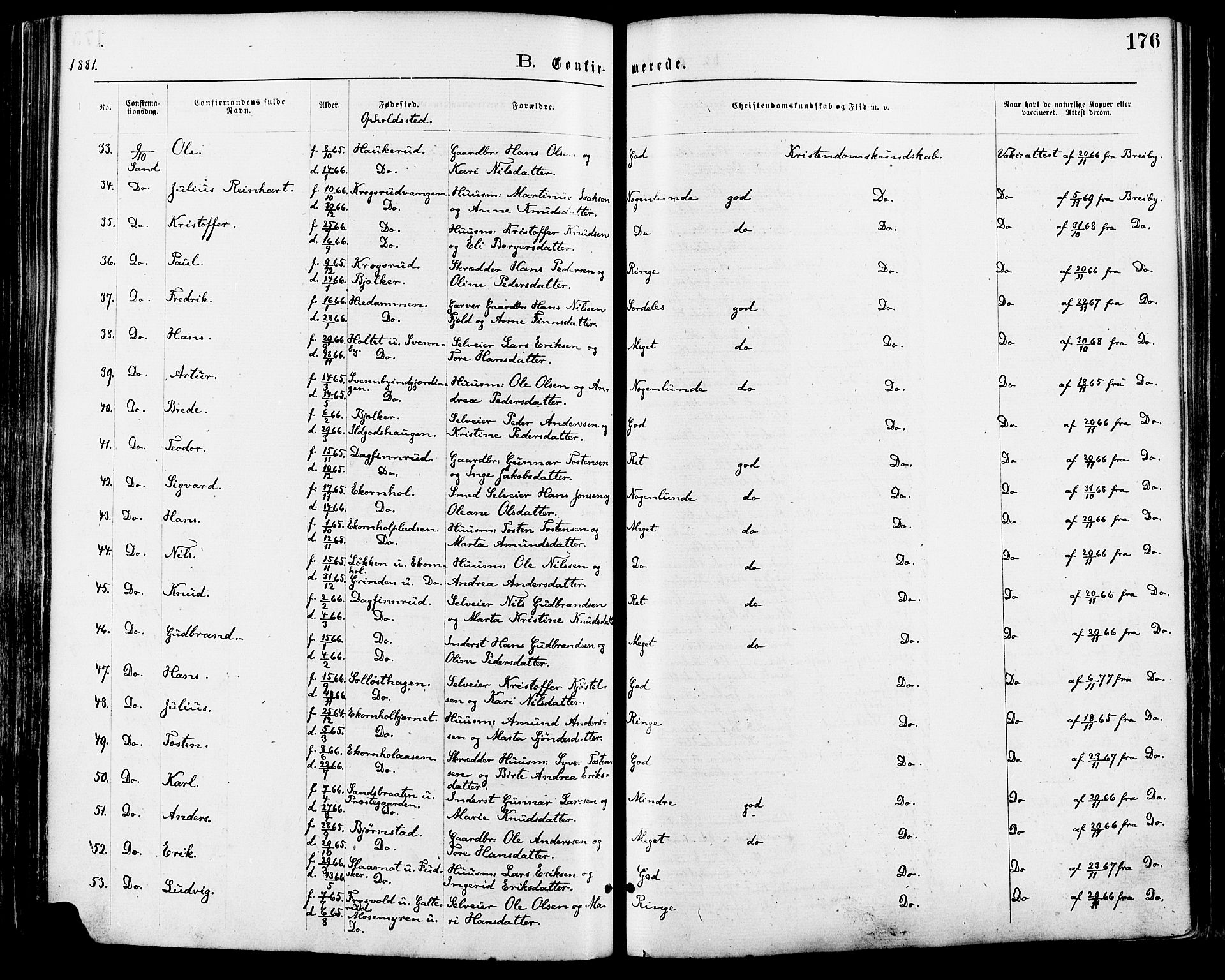 Nord-Odal prestekontor, AV/SAH-PREST-032/H/Ha/Haa/L0005: Parish register (official) no. 5, 1874-1885, p. 176