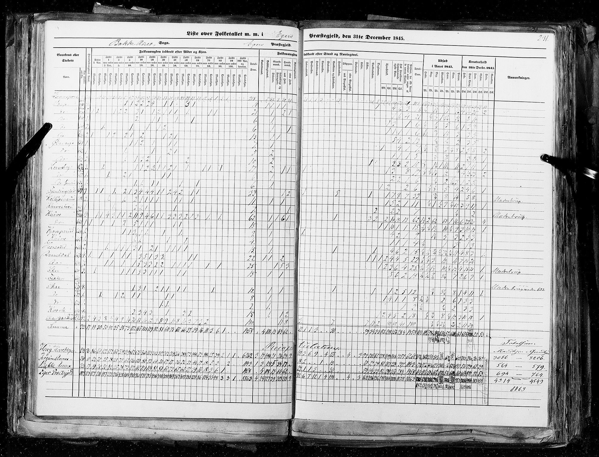 RA, Census 1845, vol. 4: Buskerud amt og Jarlsberg og Larvik amt, 1845, p. 231