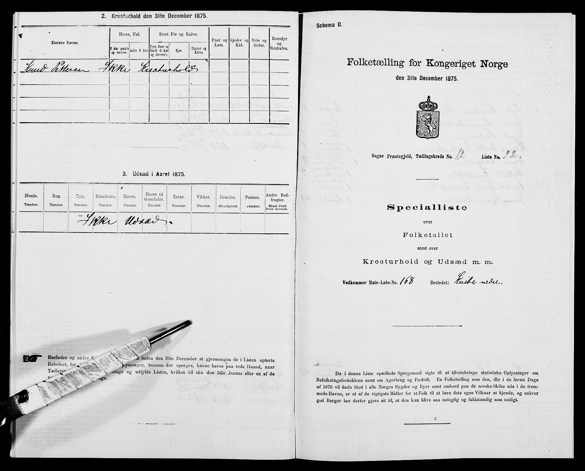 SAK, 1875 census for 1018P Søgne, 1875, p. 906