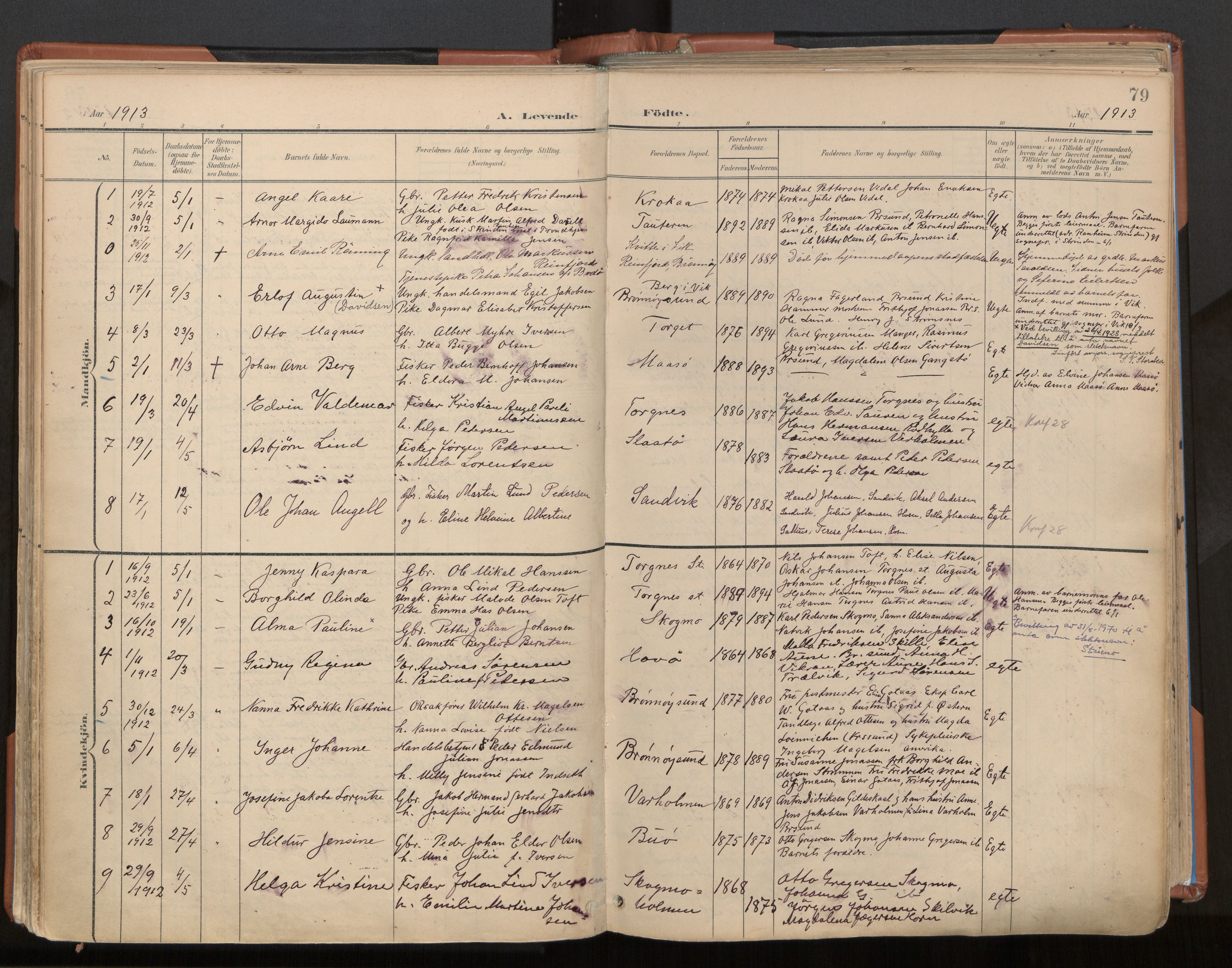Ministerialprotokoller, klokkerbøker og fødselsregistre - Nordland, SAT/A-1459/813/L0201: Parish register (official) no. 813A11, 1901-1918, p. 79