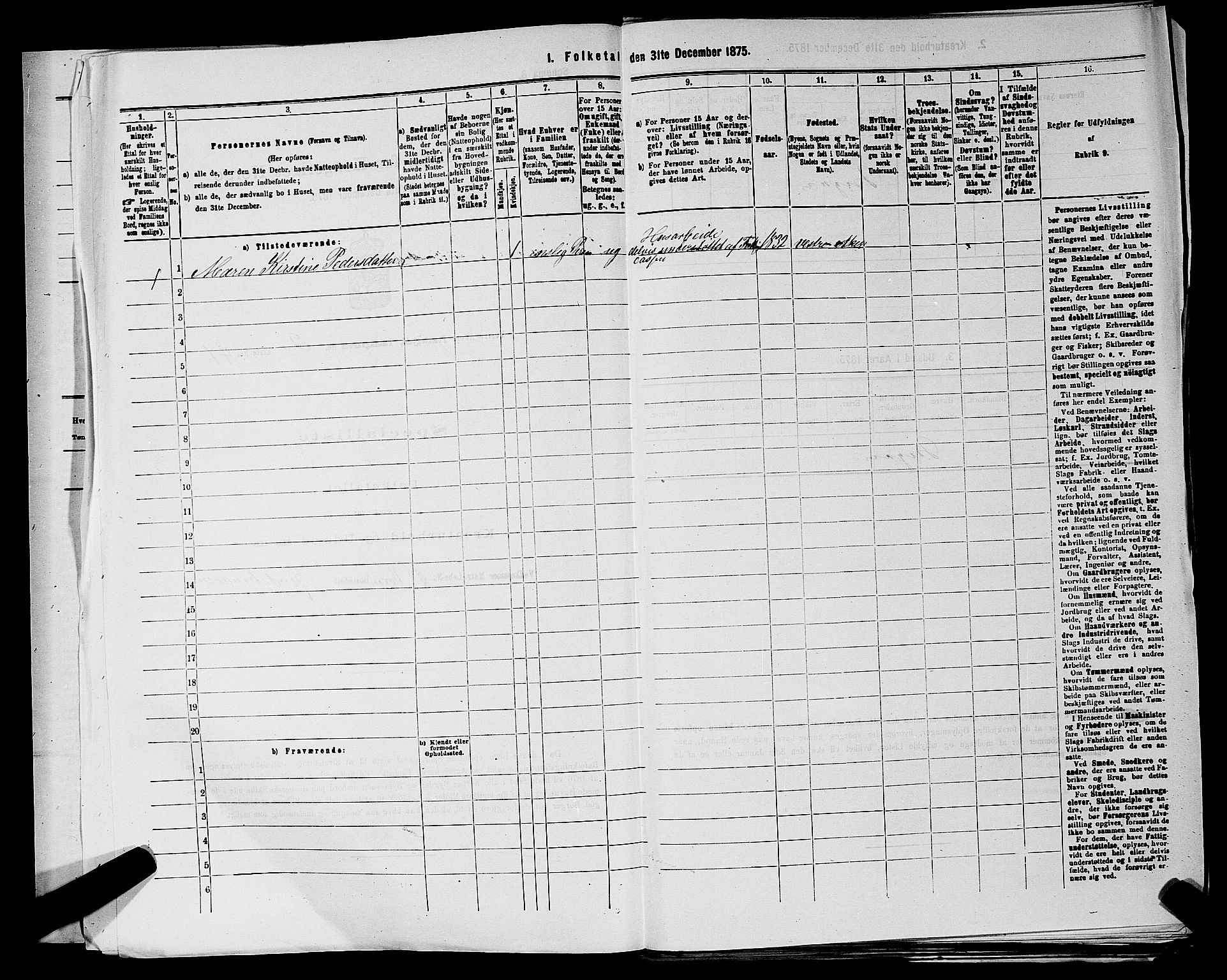 RA, 1875 census for 0218aP Vestre Aker, 1875, p. 507