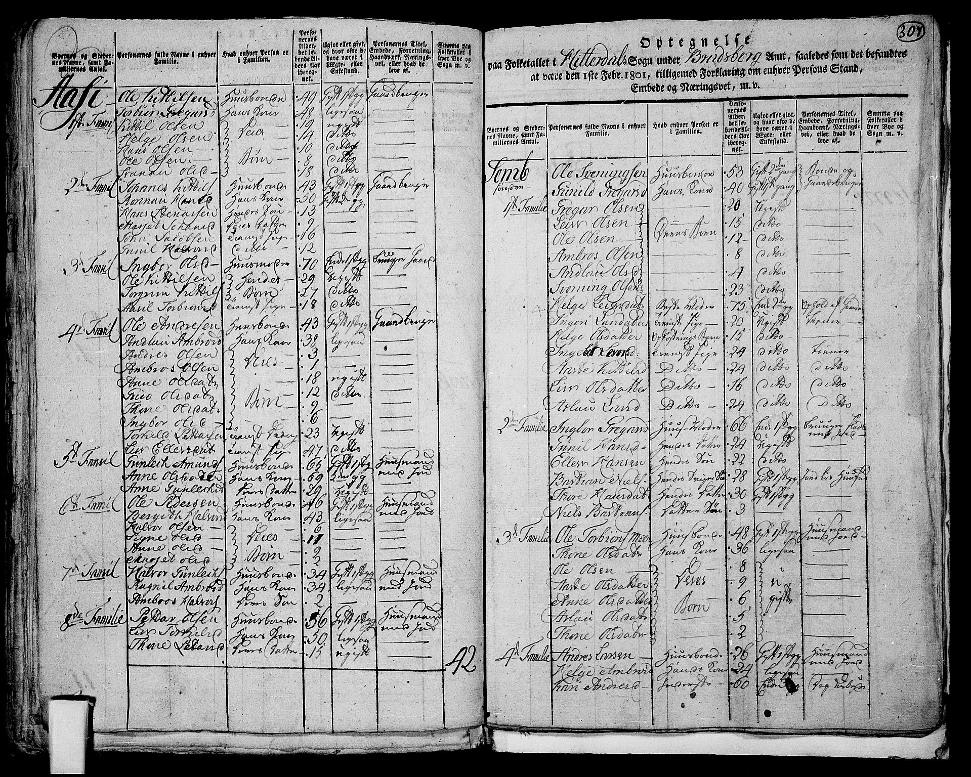 RA, 1801 census for 0823P Heddal, 1801, p. 306b-307a