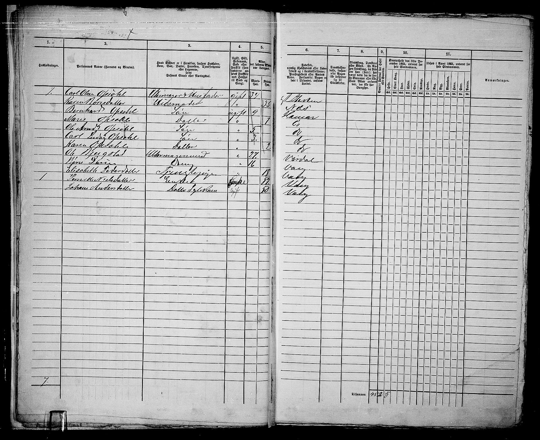 RA, 1865 census for Vang/Hamar, 1865, p. 11