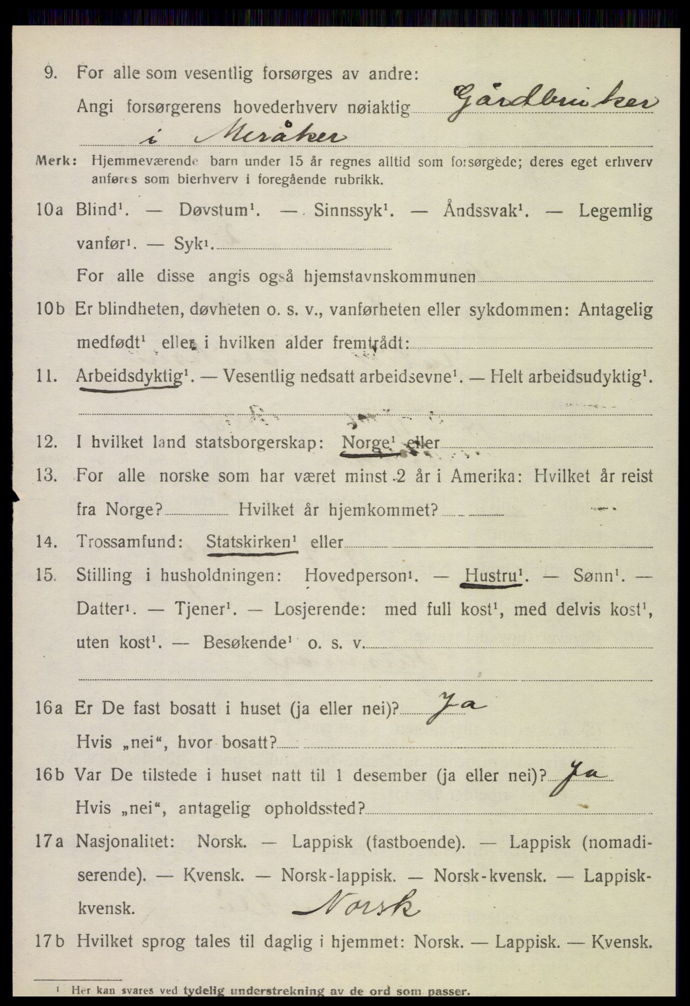 SAT, 1920 census for Meråker, 1920, p. 4529