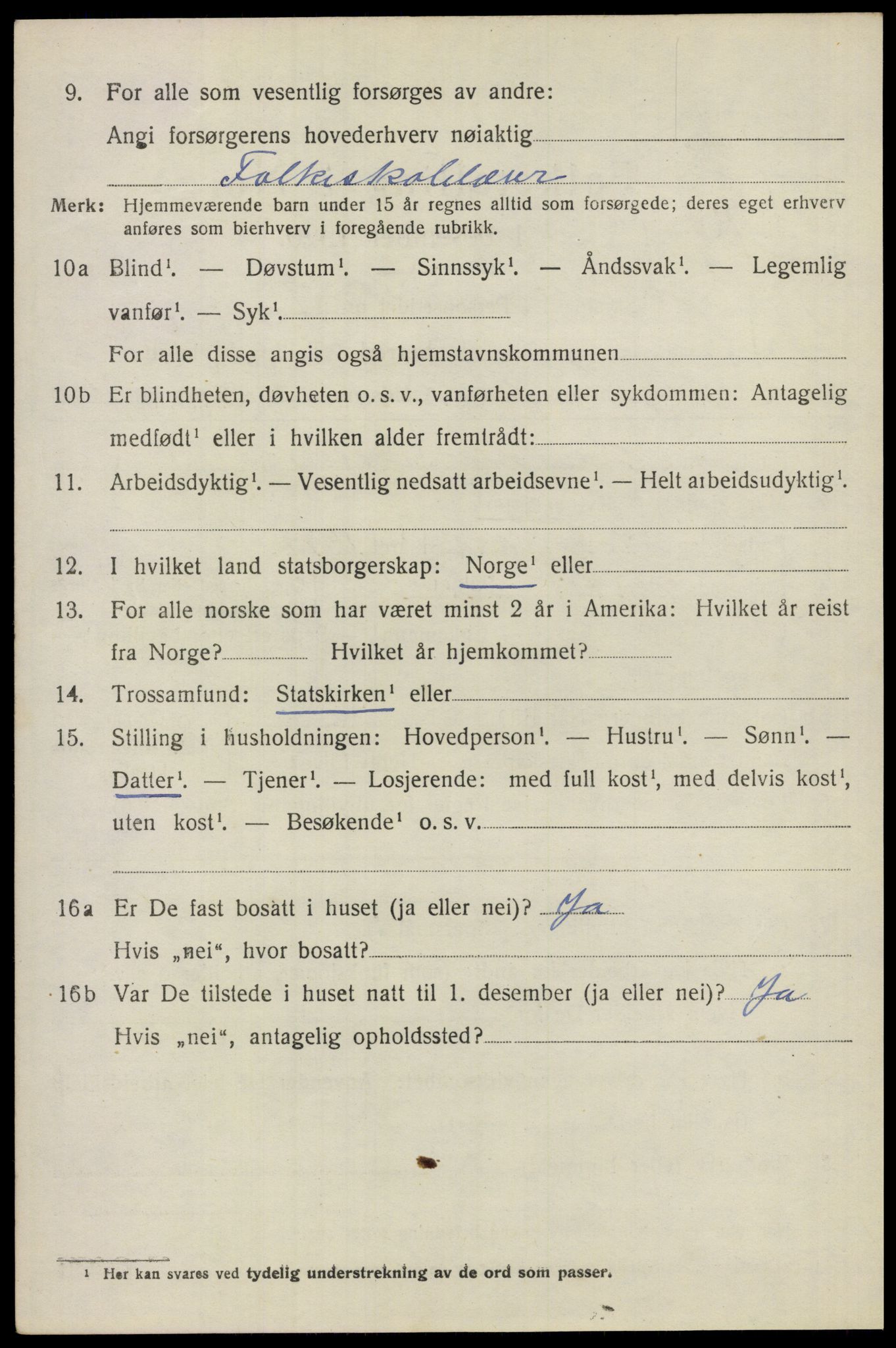 SAO, 1920 census for Nes, 1920, p. 13947