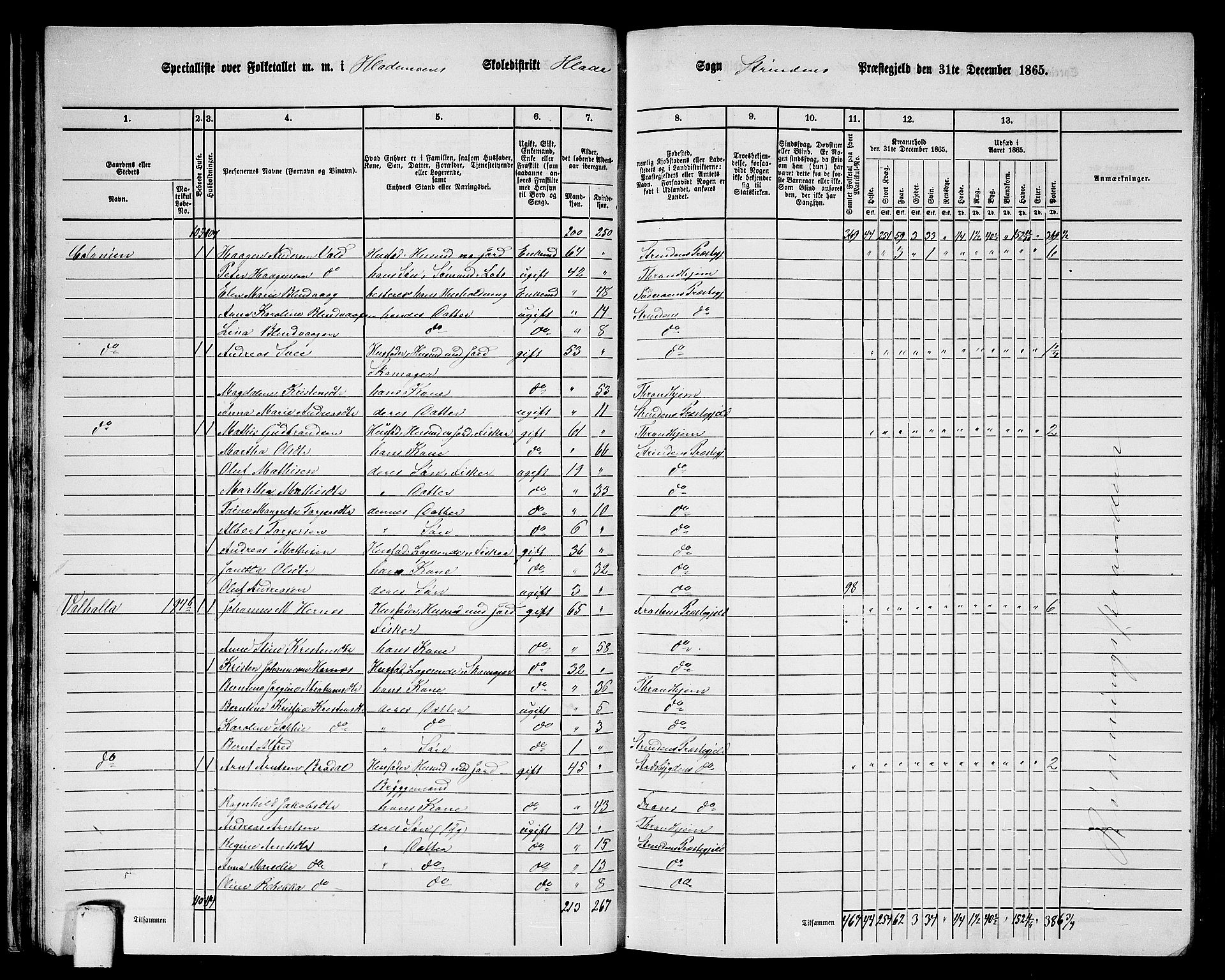 RA, 1865 census for Strinda, 1865, p. 32