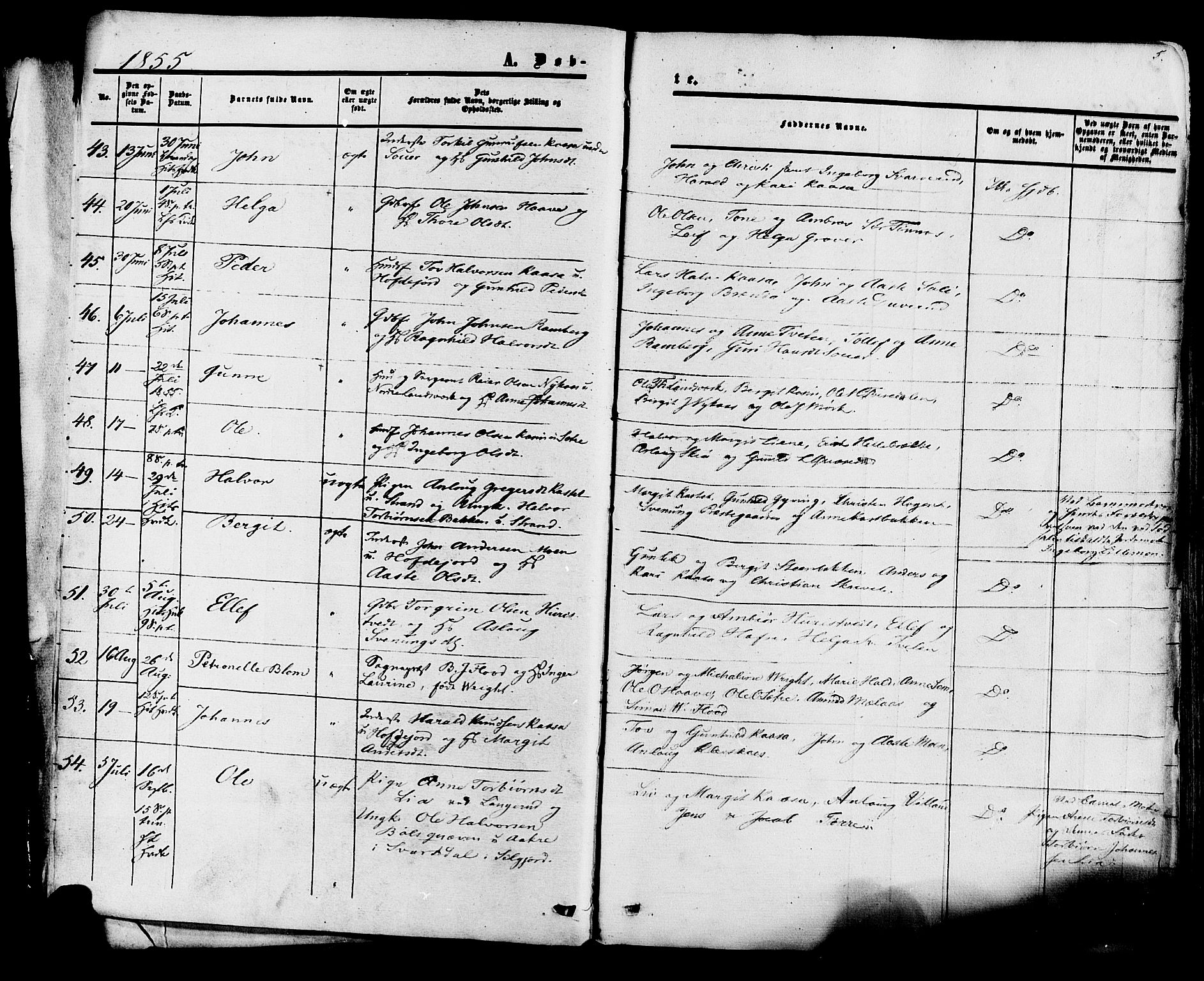 Heddal kirkebøker, AV/SAKO-A-268/F/Fa/L0007: Parish register (official) no. I 7, 1855-1877, p. 5