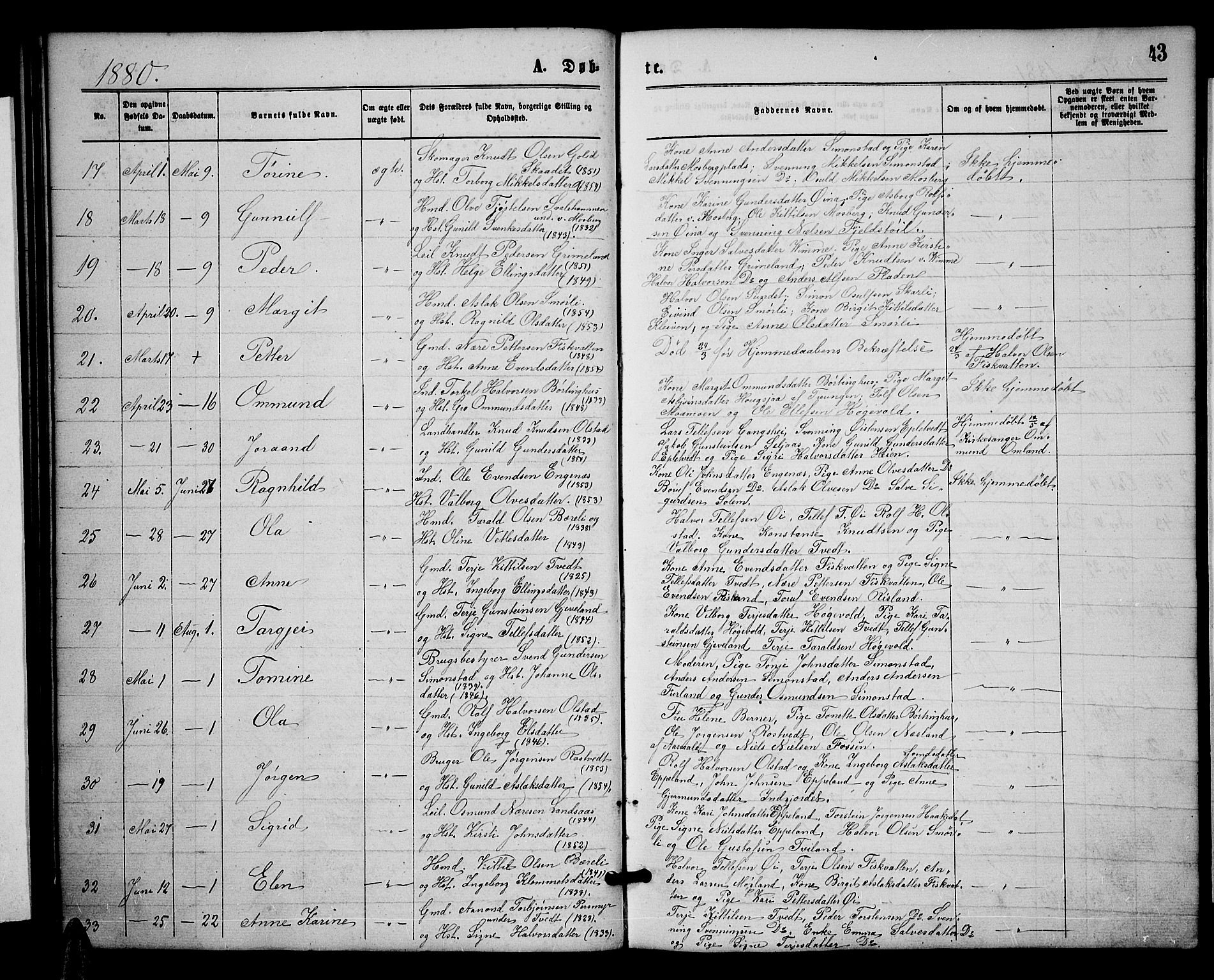 Åmli sokneprestkontor, SAK/1111-0050/F/Fb/Fbc/L0003: Parish register (copy) no. B 3, 1868-1888, p. 43