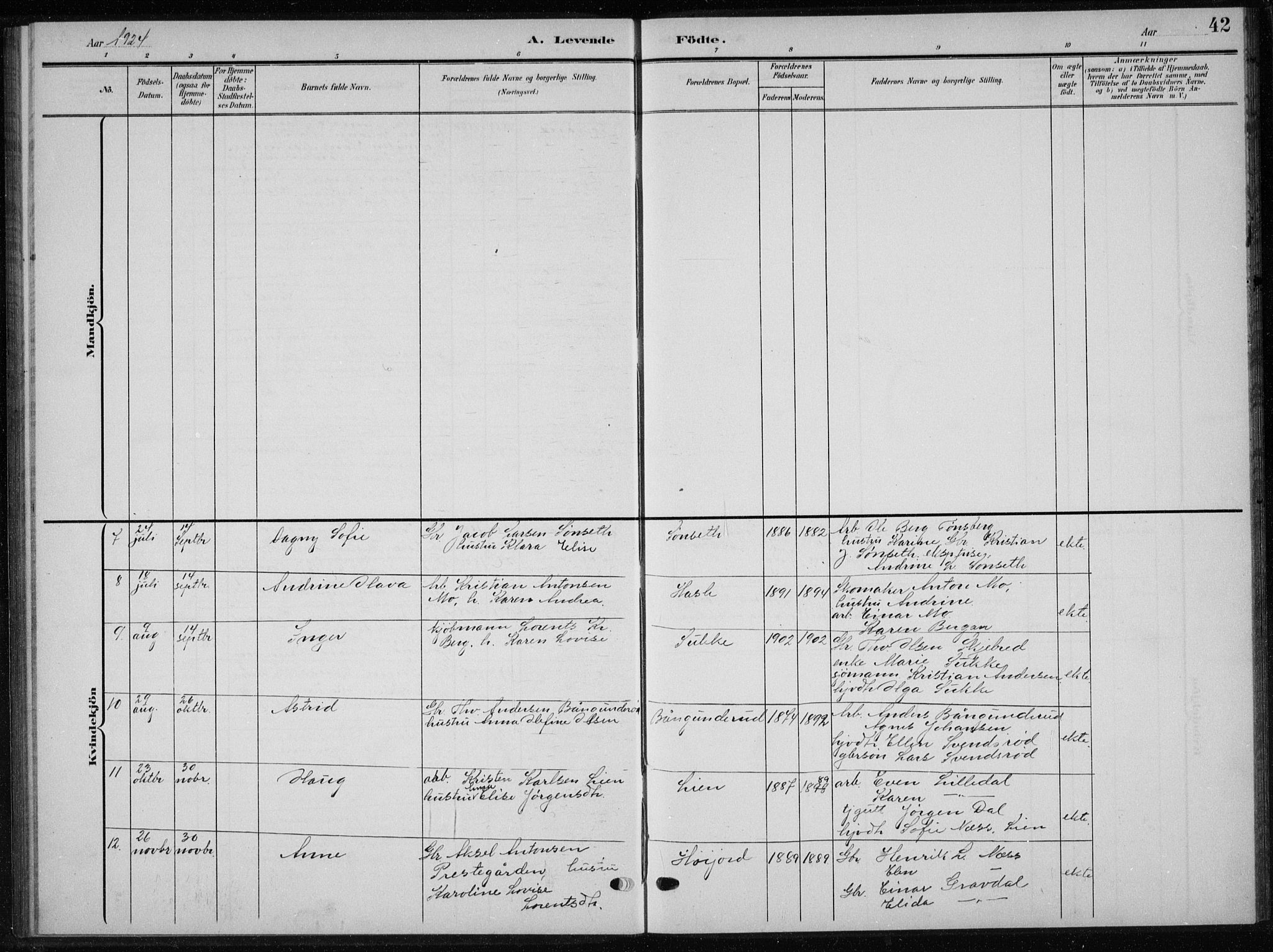 Andebu kirkebøker, AV/SAKO-A-336/G/Gb/L0001: Parish register (copy) no. II 1, 1901-1936, p. 42