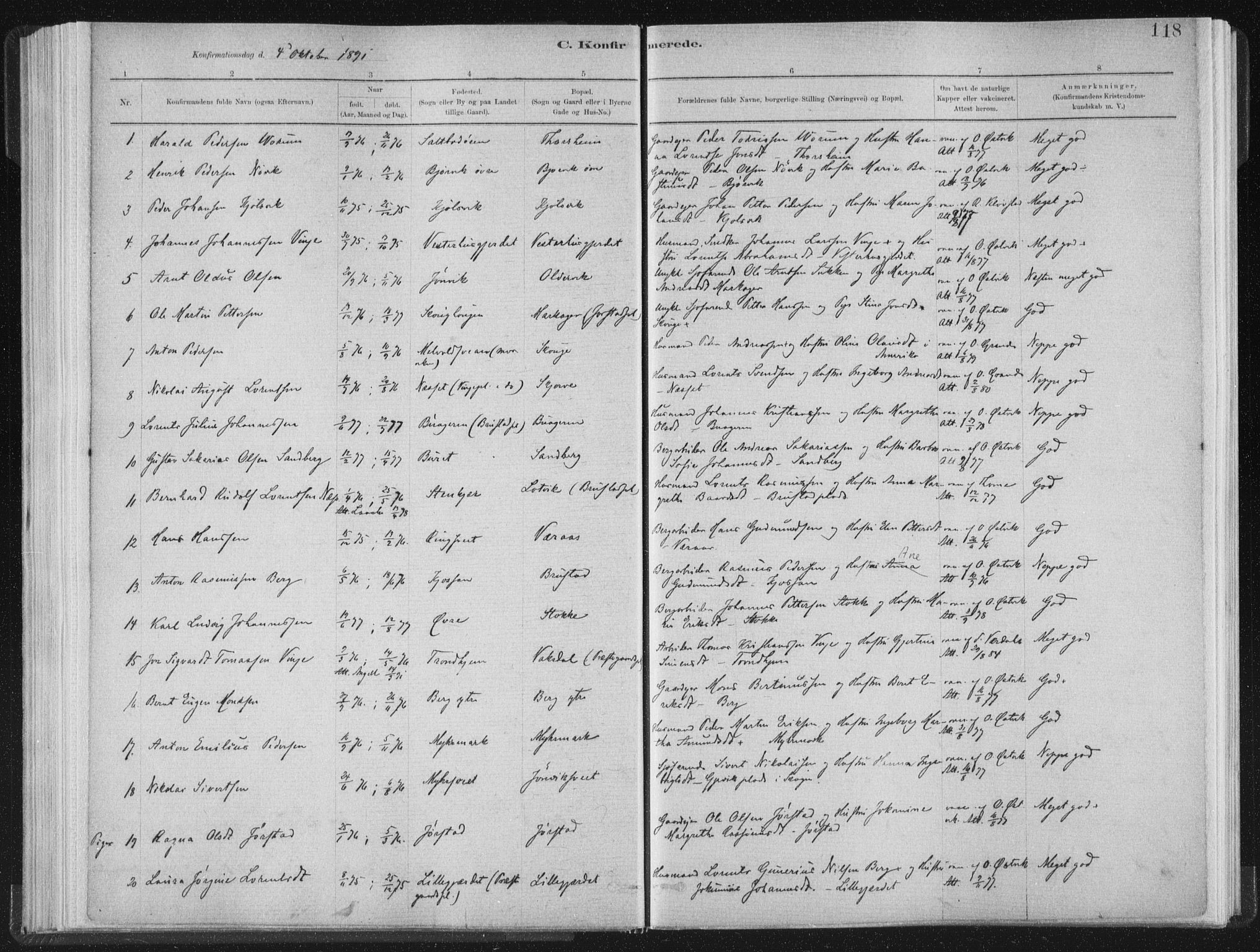 Ministerialprotokoller, klokkerbøker og fødselsregistre - Nord-Trøndelag, SAT/A-1458/722/L0220: Parish register (official) no. 722A07, 1881-1908, p. 118