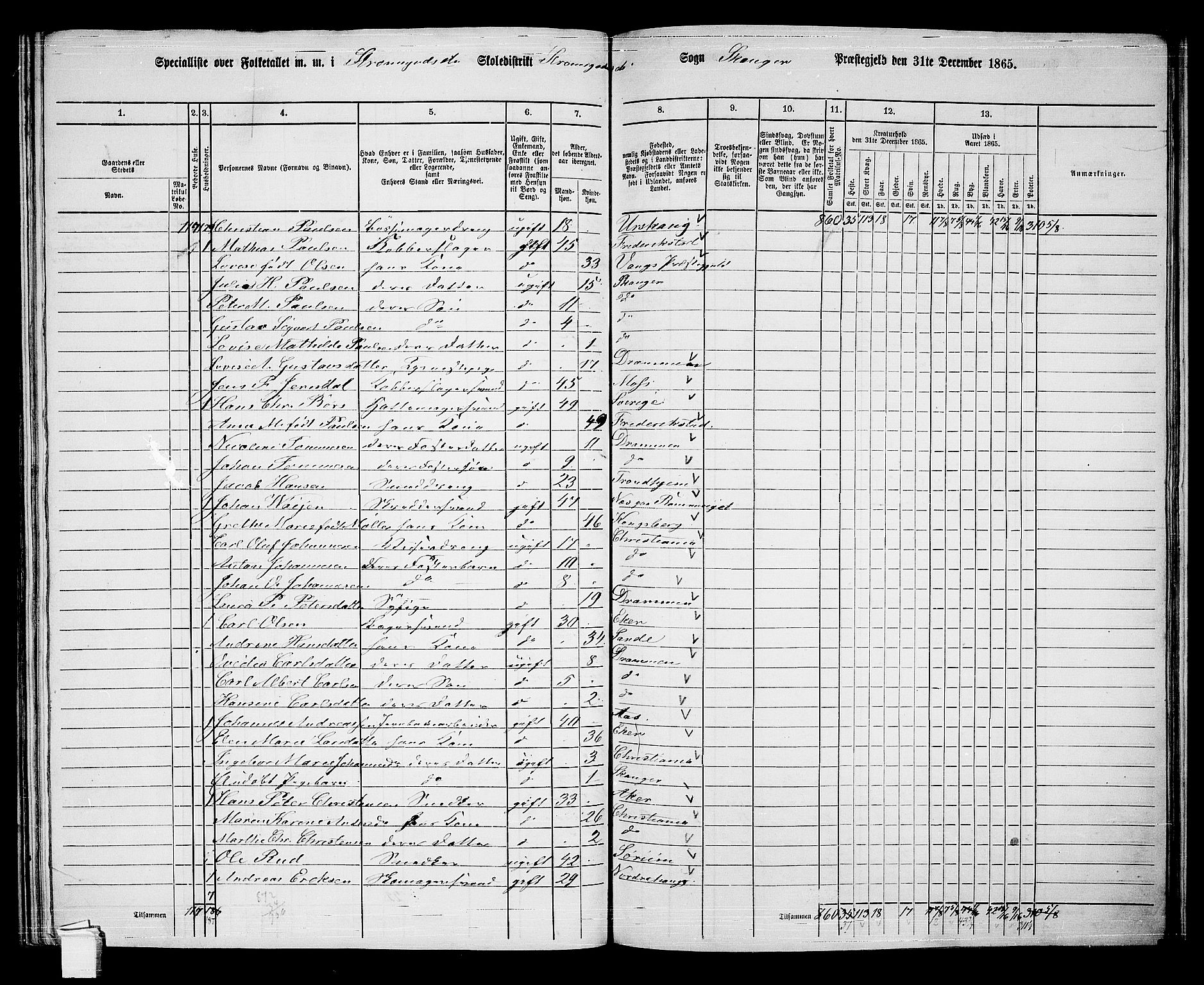 RA, 1865 census for Skoger, 1865, p. 146