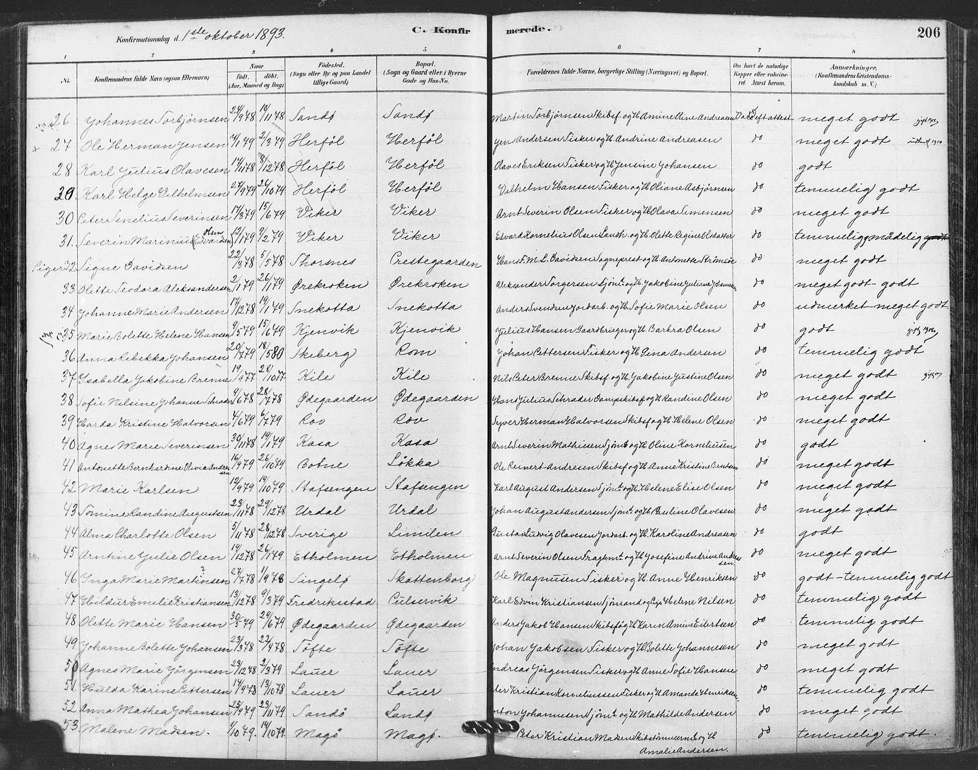 Hvaler prestekontor Kirkebøker, AV/SAO-A-2001/F/Fa/L0008: Parish register (official) no. I 8, 1878-1895, p. 206