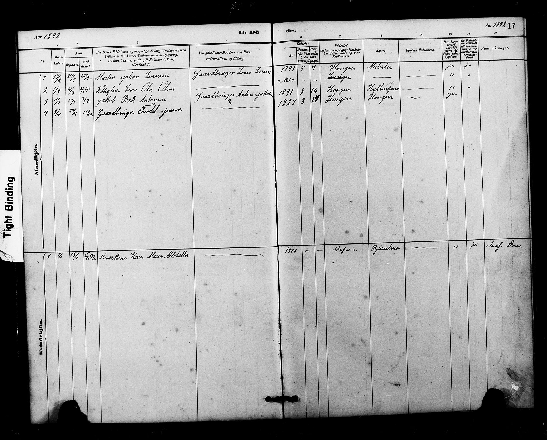 Ministerialprotokoller, klokkerbøker og fødselsregistre - Nordland, AV/SAT-A-1459/826/L0382: Parish register (copy) no. 826C02, 1879-1914, p. 17