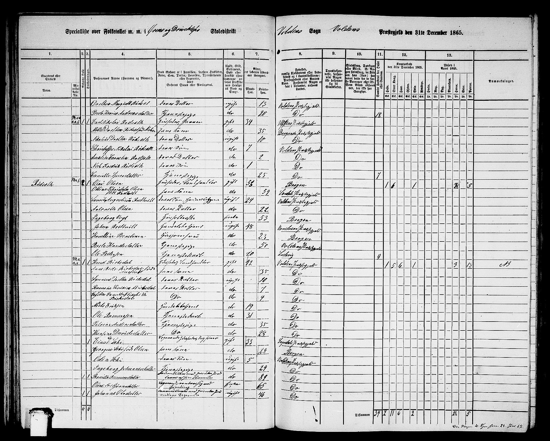 RA, 1865 census for Volda, 1865, p. 46