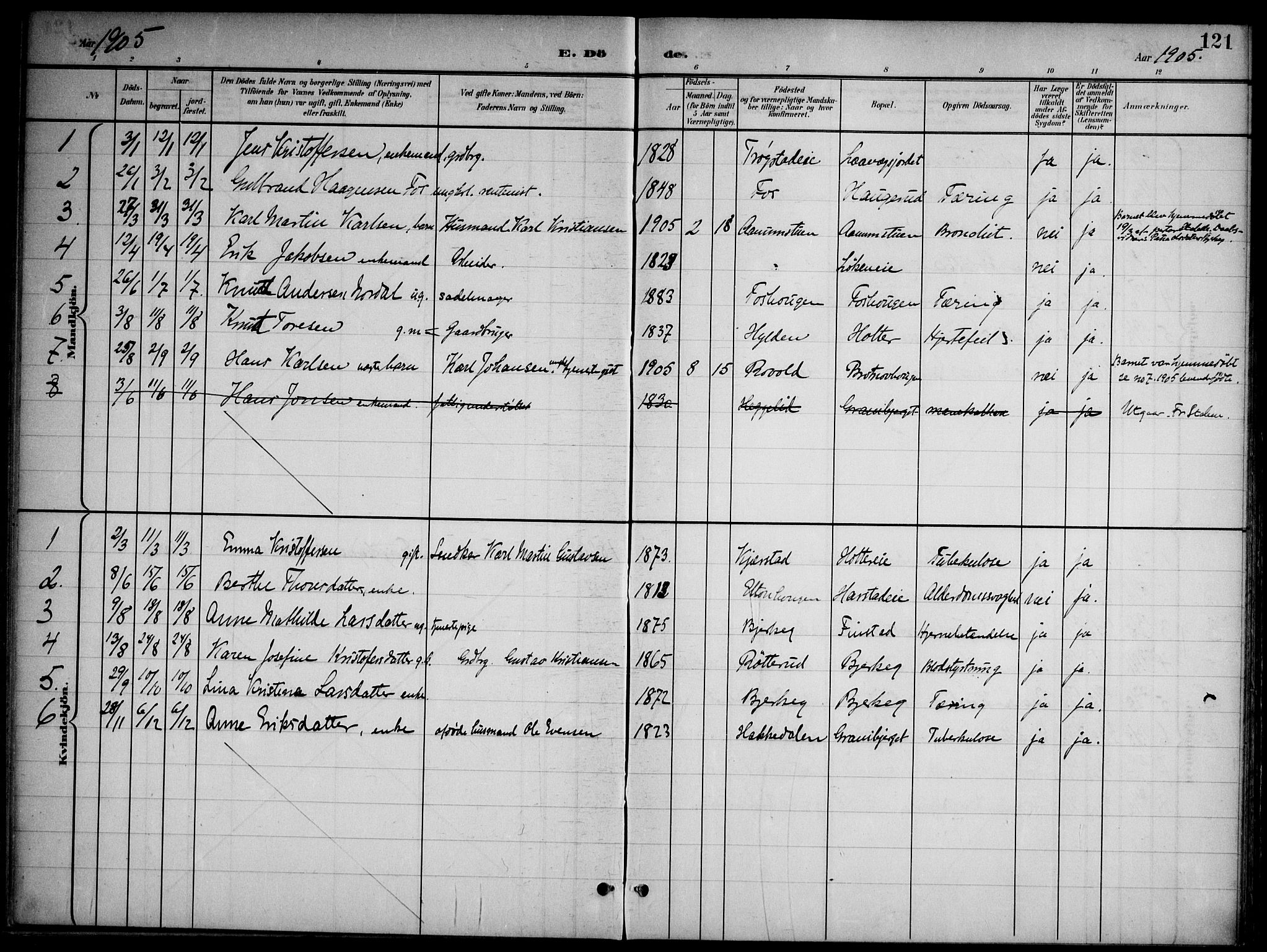 Nannestad prestekontor Kirkebøker, SAO/A-10414a/G/Gb/L0001: Parish register (copy) no. II 1, 1901-1917, p. 121
