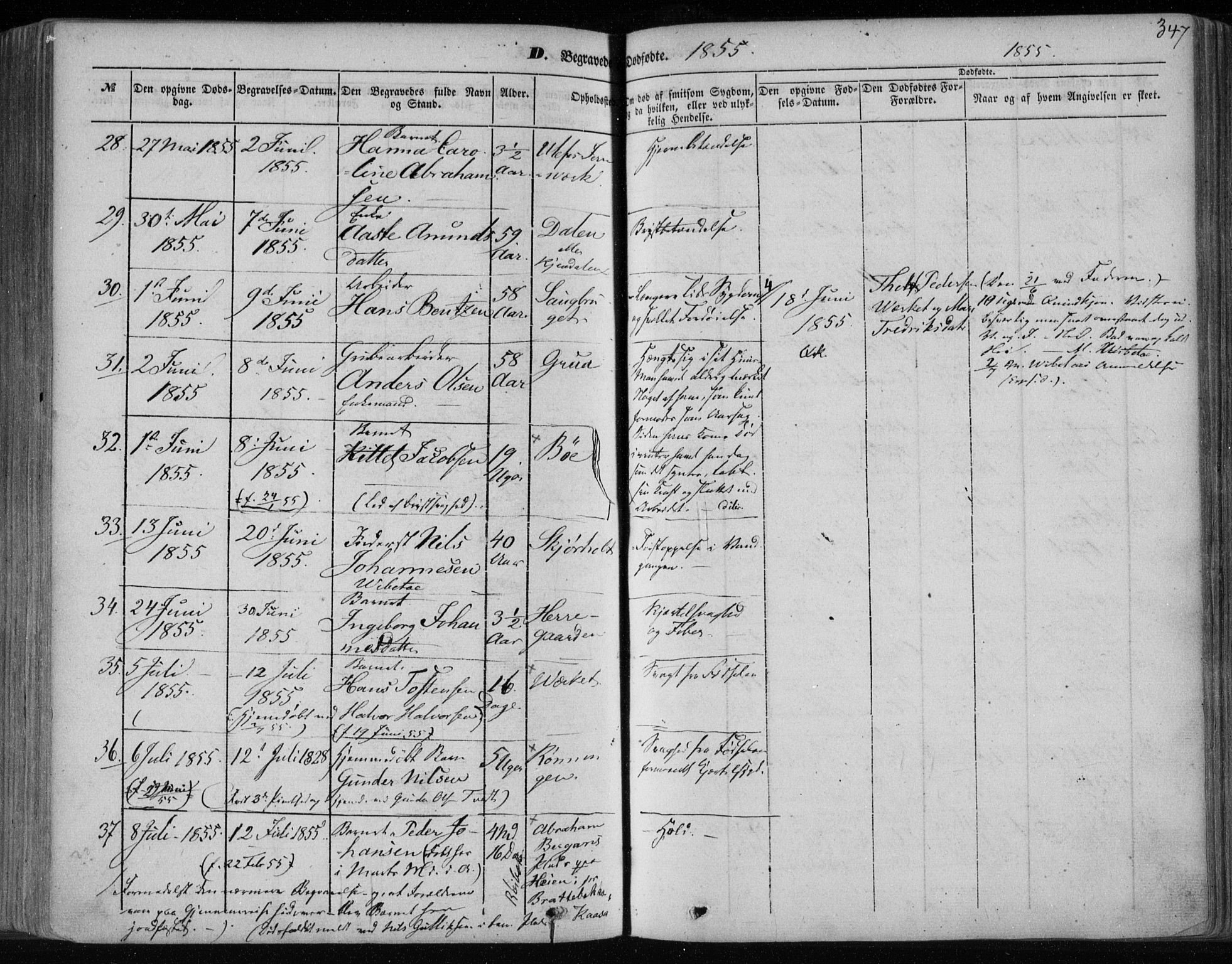 Holla kirkebøker, AV/SAKO-A-272/F/Fa/L0005: Parish register (official) no. 5, 1849-1860, p. 347