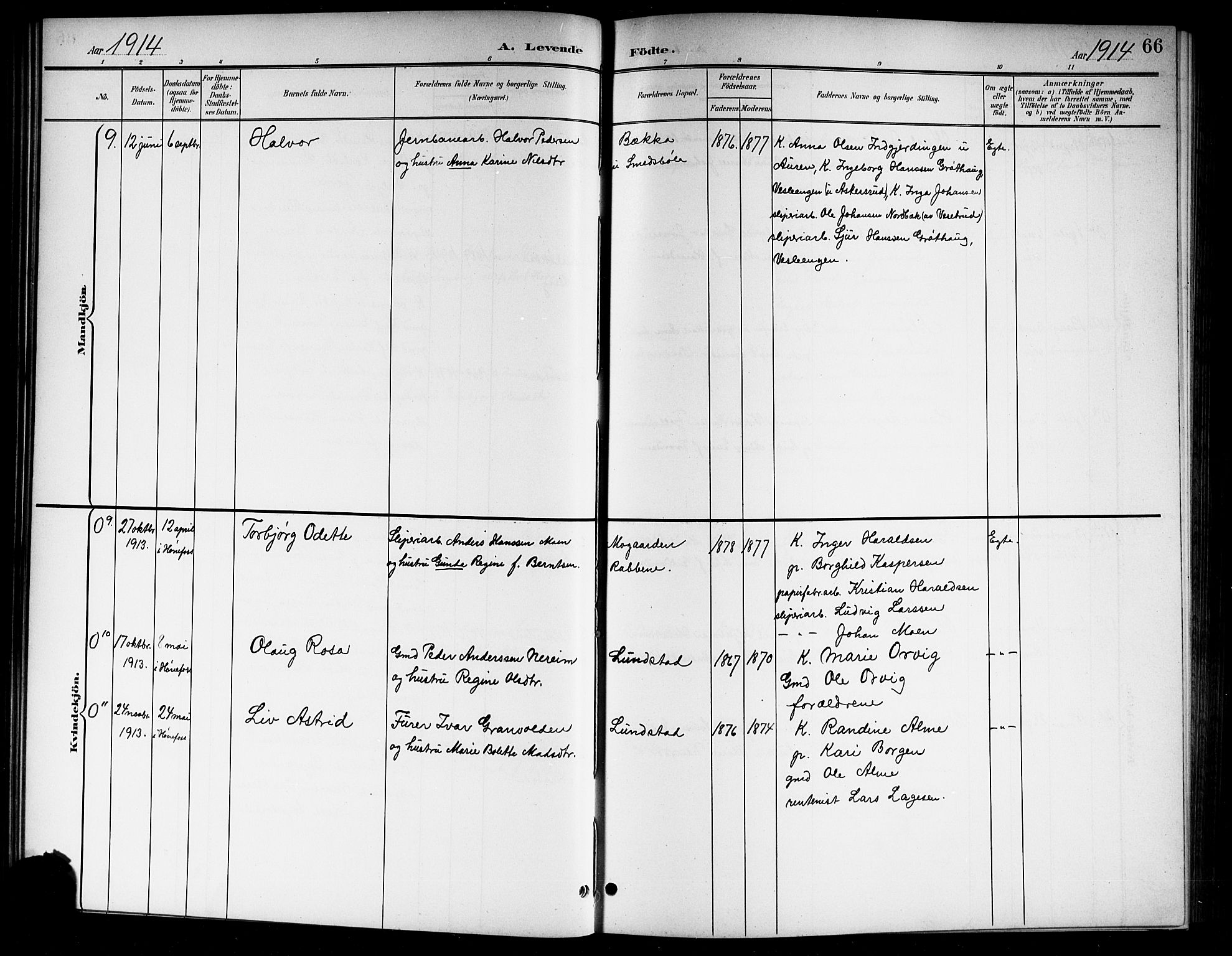 Norderhov kirkebøker, AV/SAKO-A-237/G/Gb/L0002: Parish register (copy) no. II 2, 1891-1921, p. 66