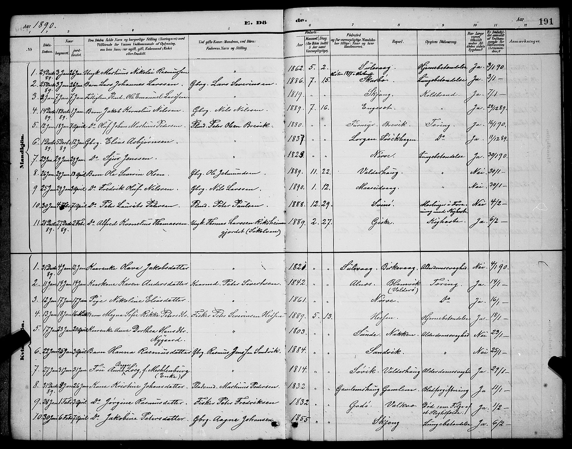 Ministerialprotokoller, klokkerbøker og fødselsregistre - Møre og Romsdal, SAT/A-1454/528/L0430: Parish register (copy) no. 528C11, 1884-1899, p. 191