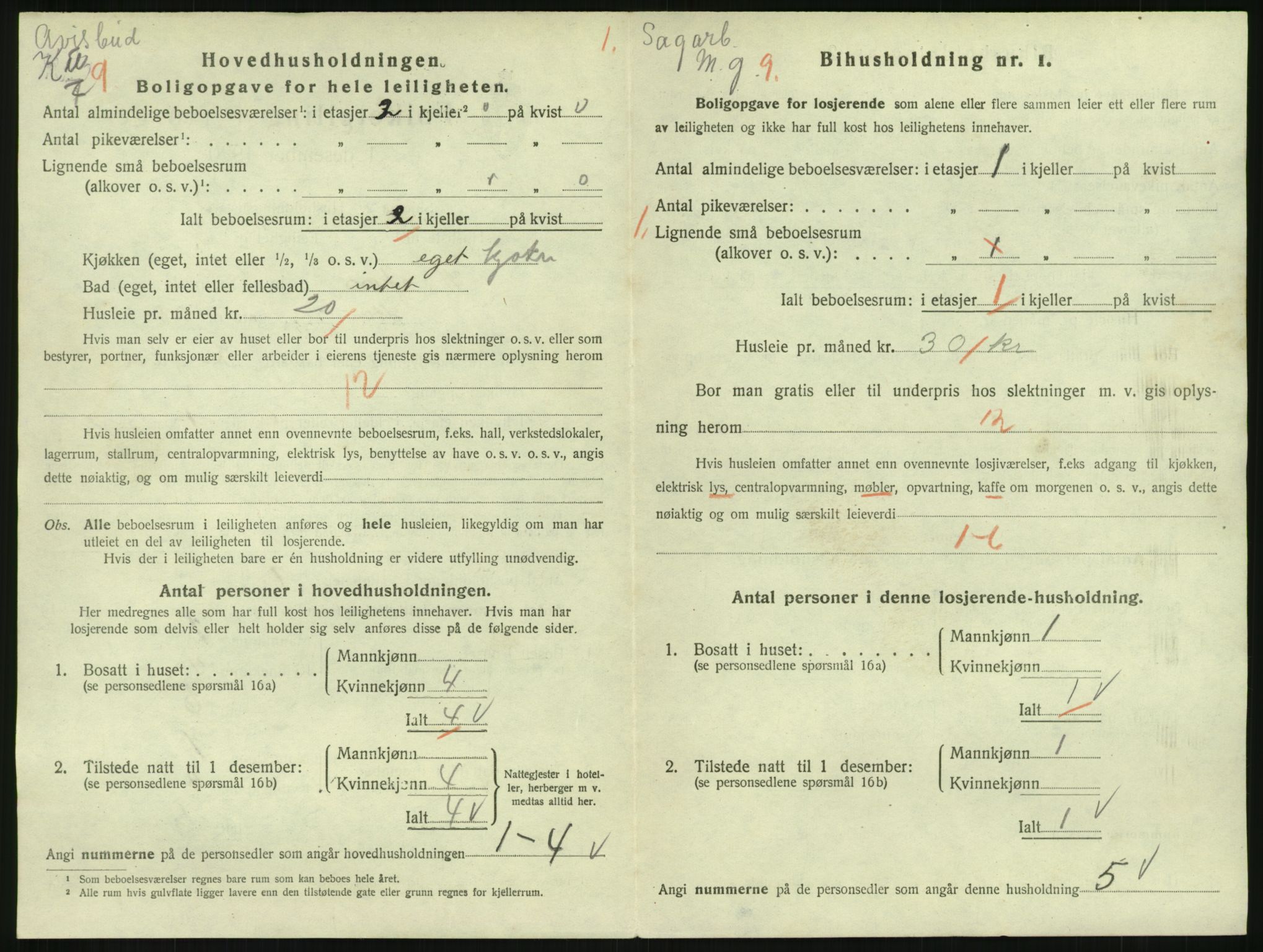 SAKO, 1920 census for Hønefoss, 1920, p. 2119