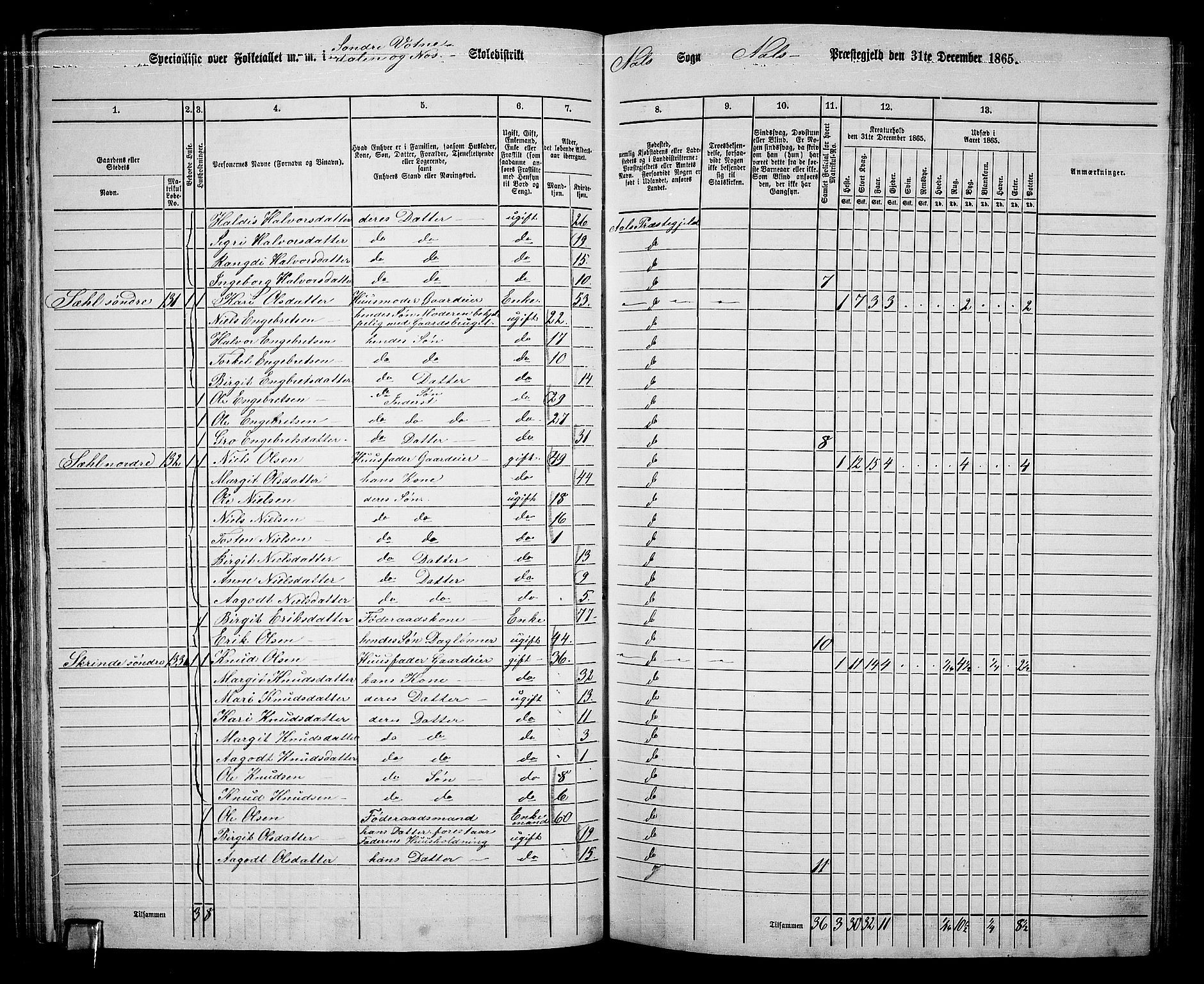 RA, 1865 census for Ål, 1865, p. 79